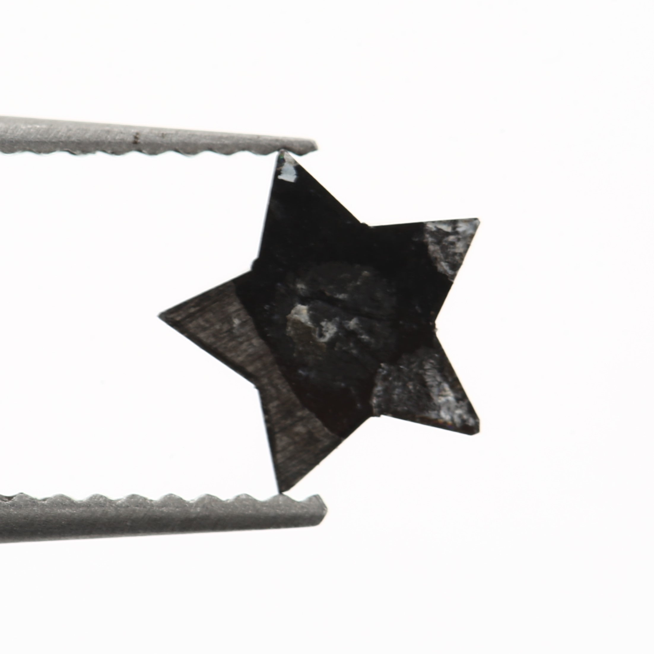 ClariOLED Transparent OLED Display price