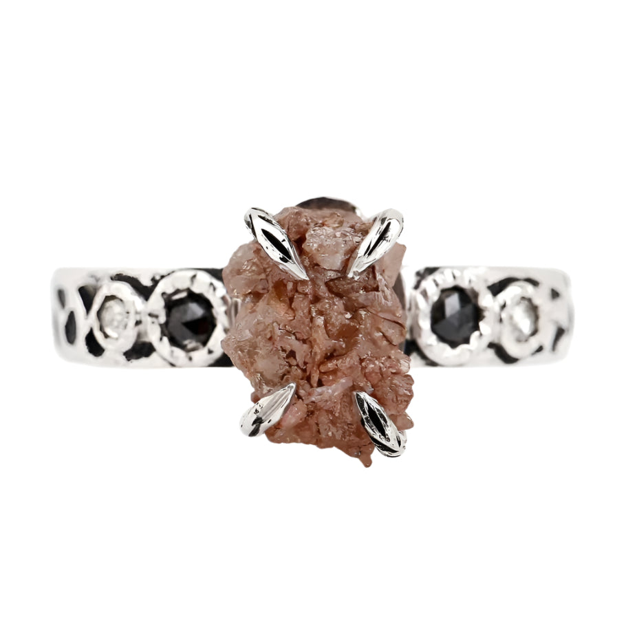 ClariOLED Transparent OLED Display price