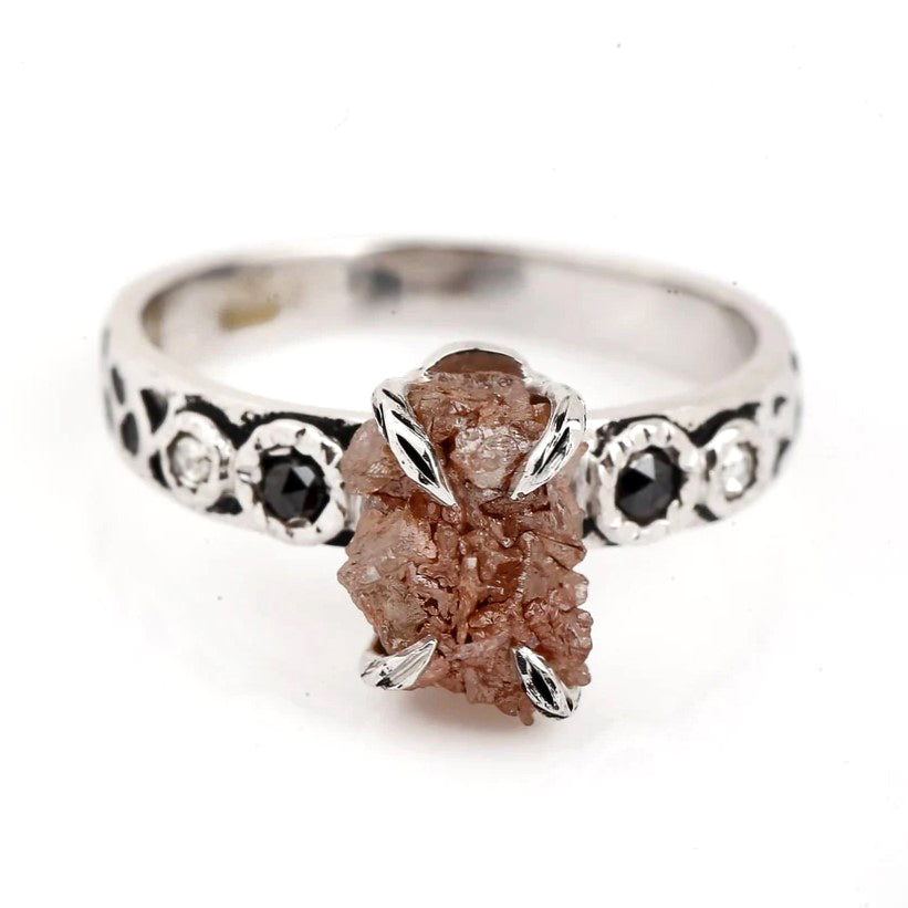 ClariOLED Transparent OLED Display price