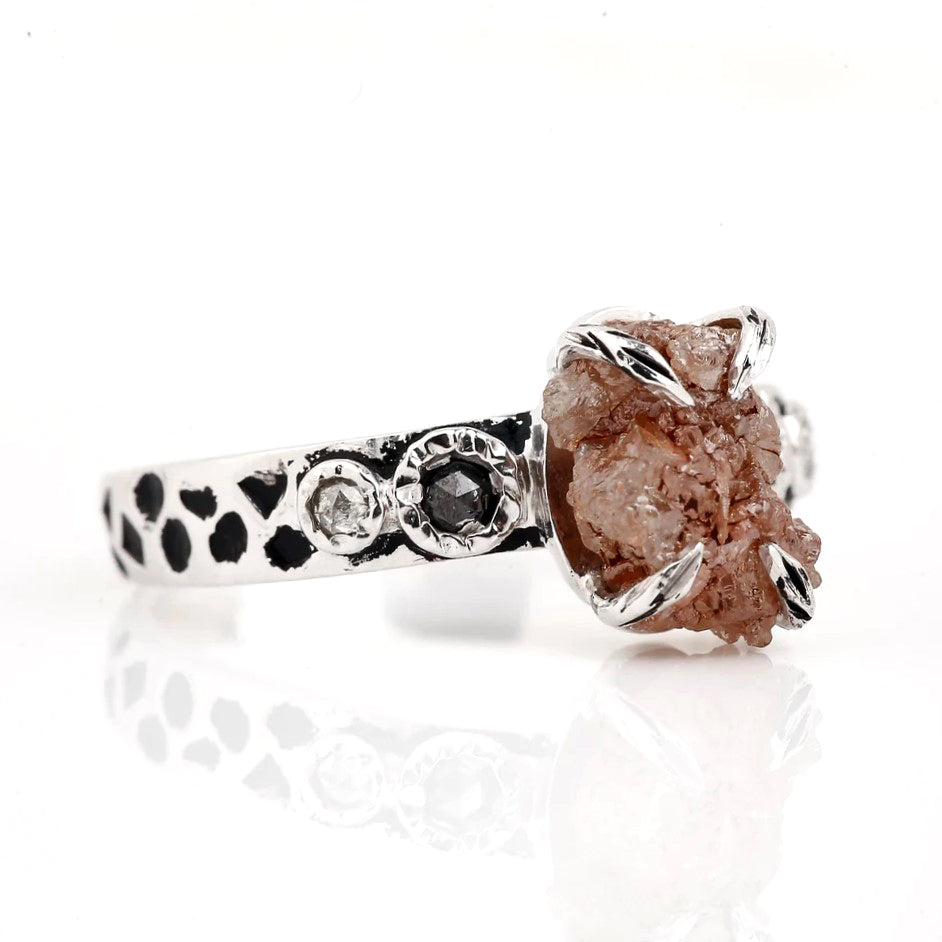 ClariOLED Transparent OLED Display price