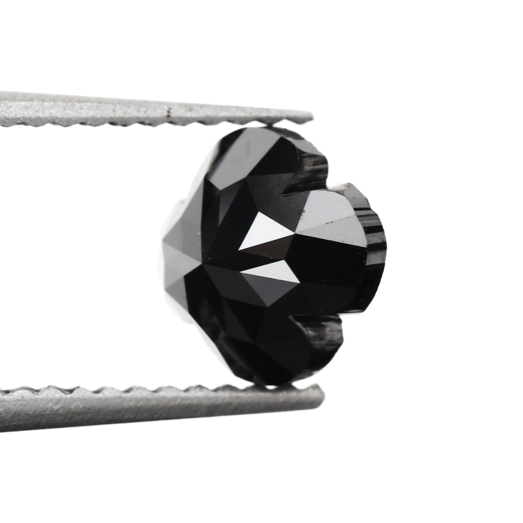 ClariOLED Transparent OLED Display price