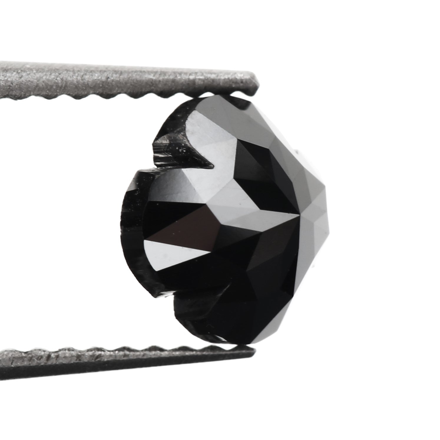 ClariOLED Transparent OLED Display price