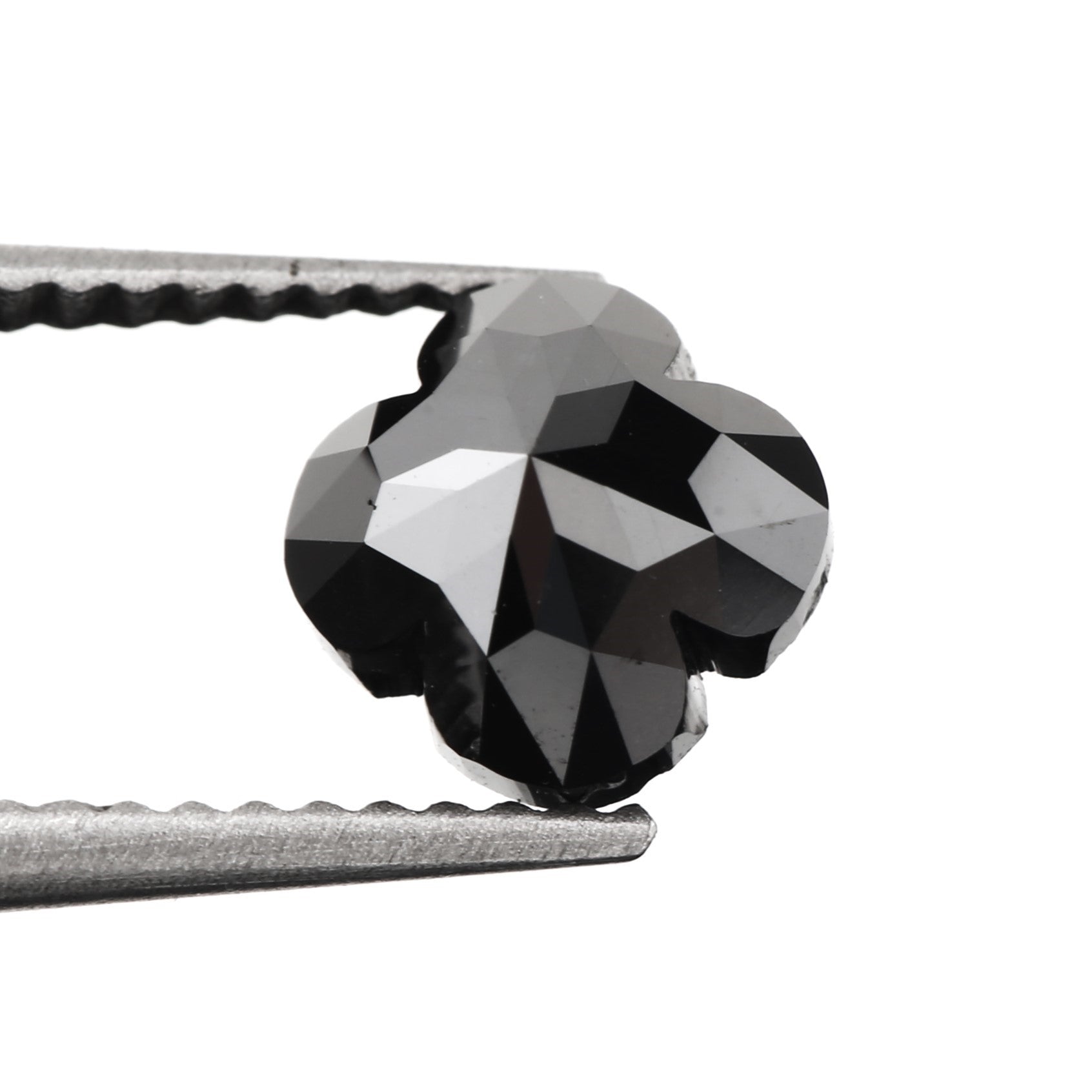 ClariOLED Transparent OLED Display price