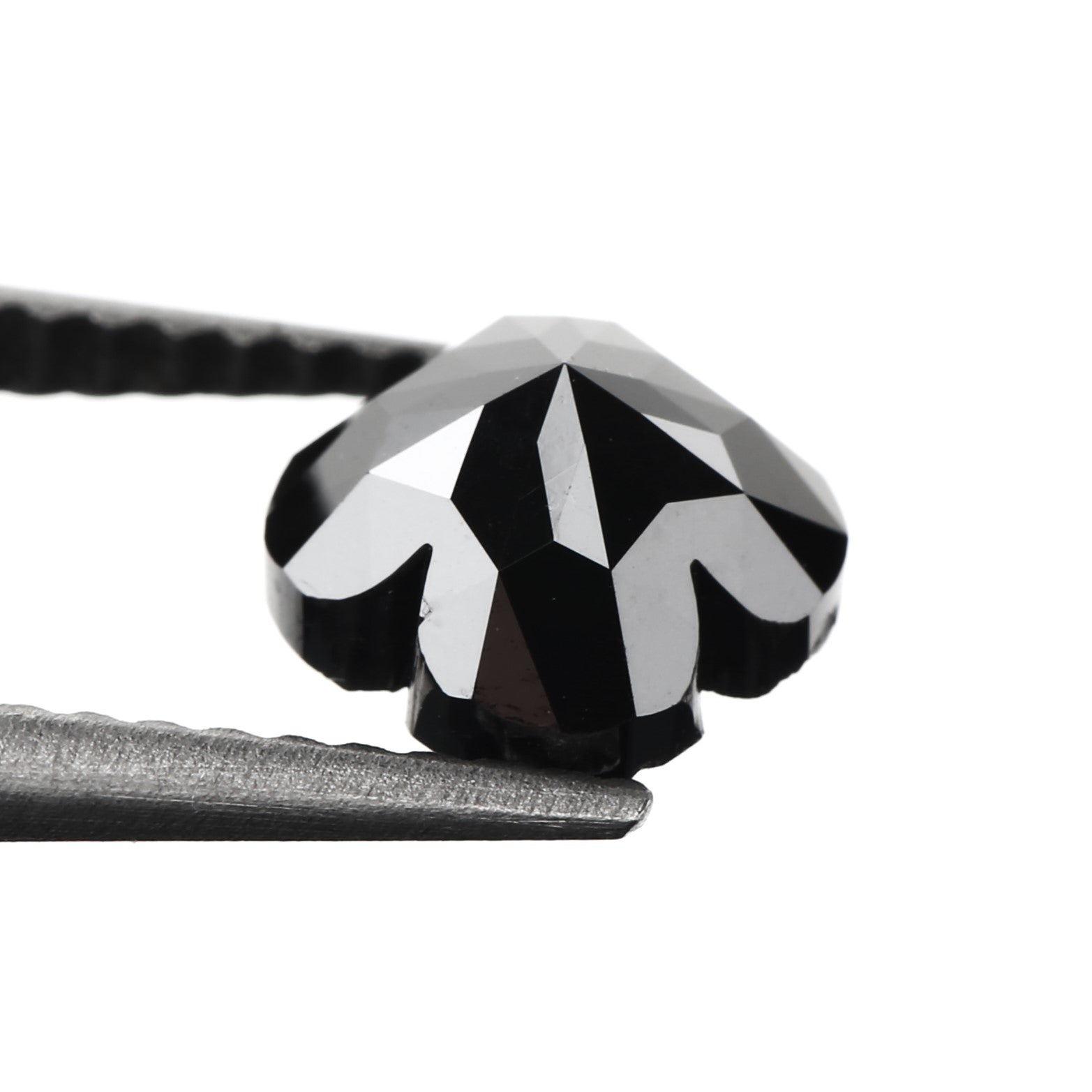 ClariOLED Transparent OLED Display price