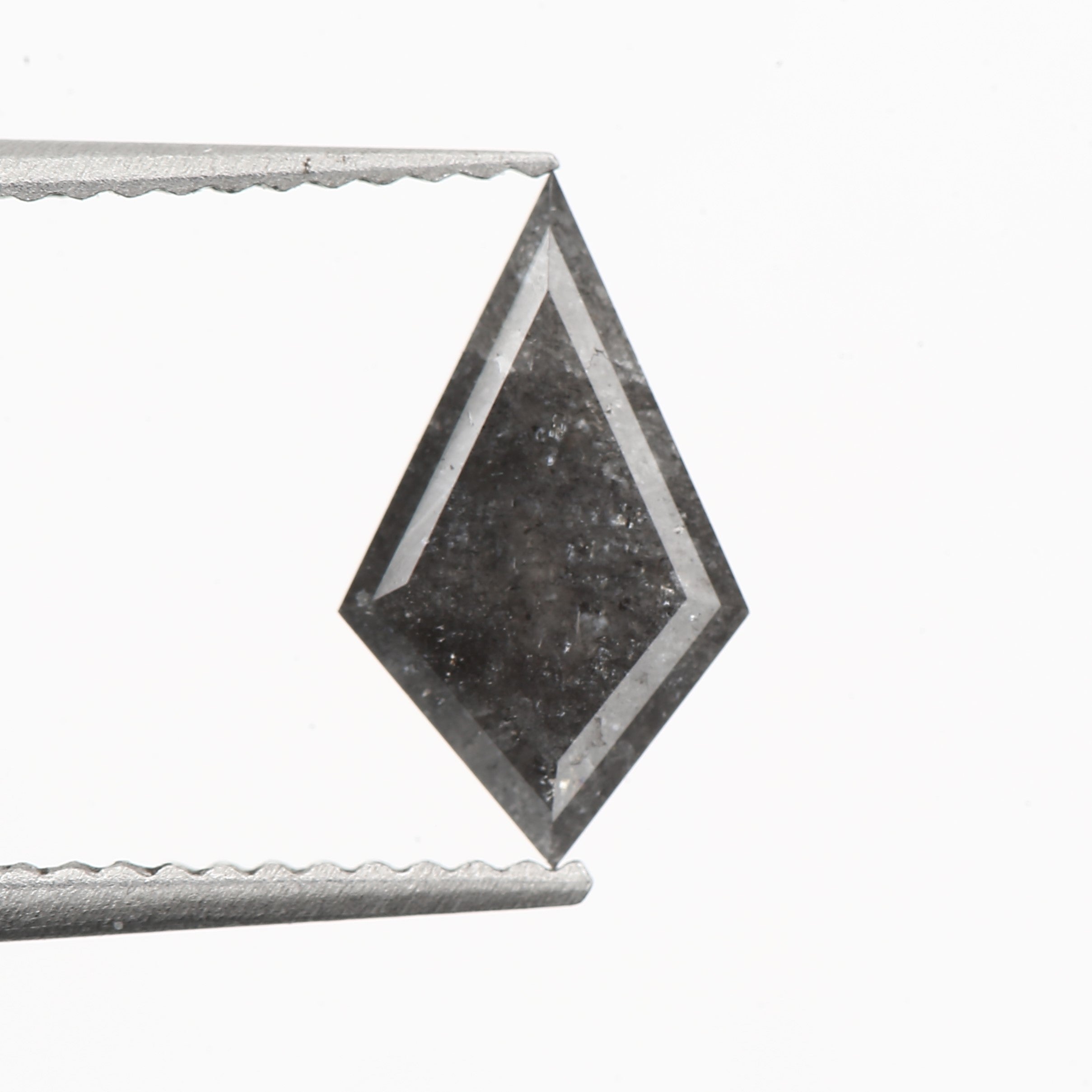 ClariOLED Transparent OLED Display price