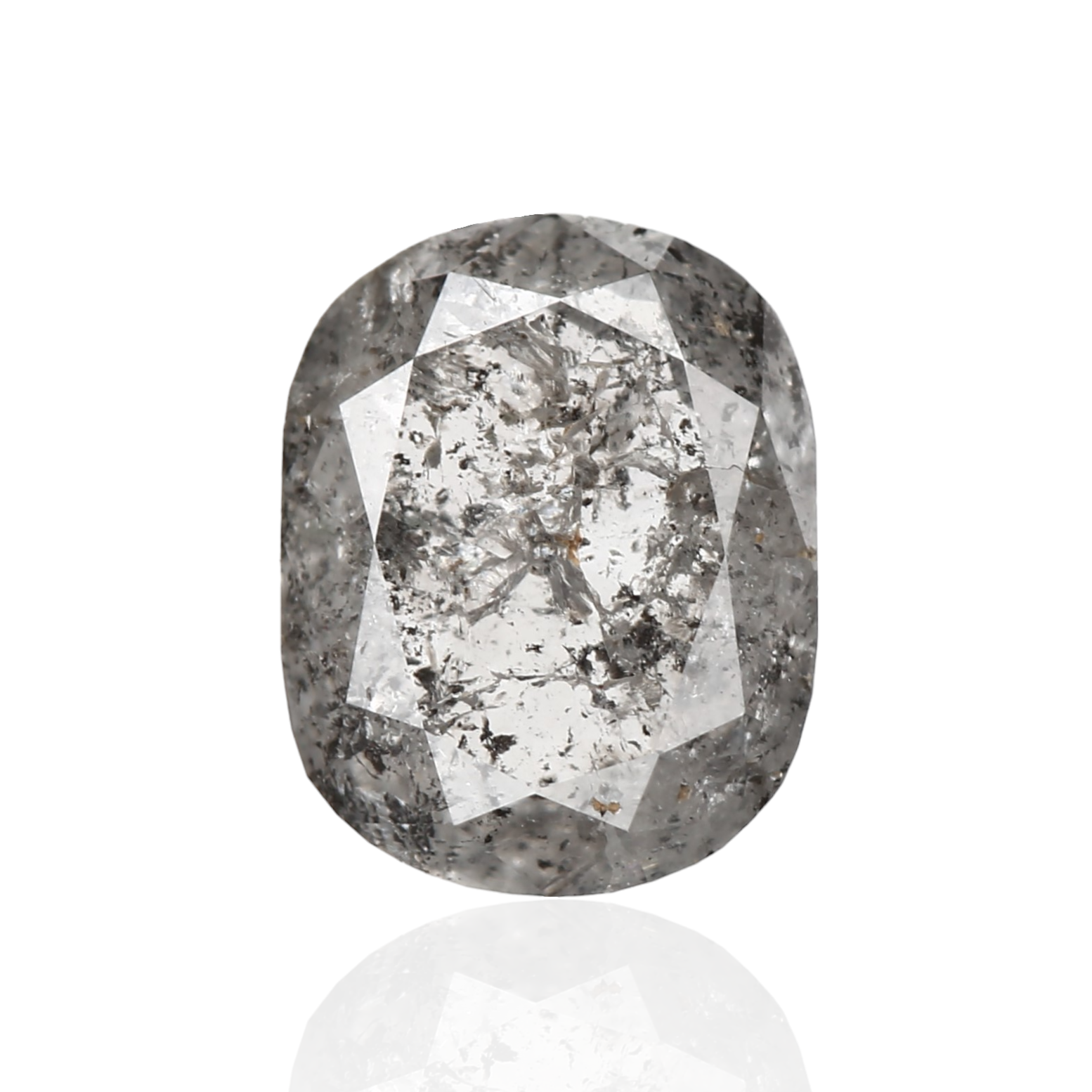 ClariOLED Transparent OLED Display price