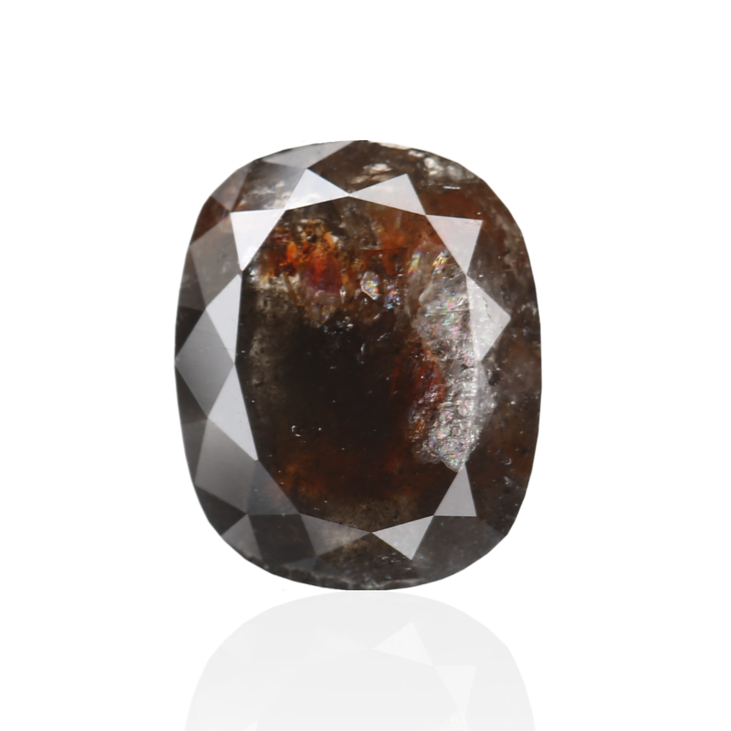 ClariOLED Transparent OLED Display price