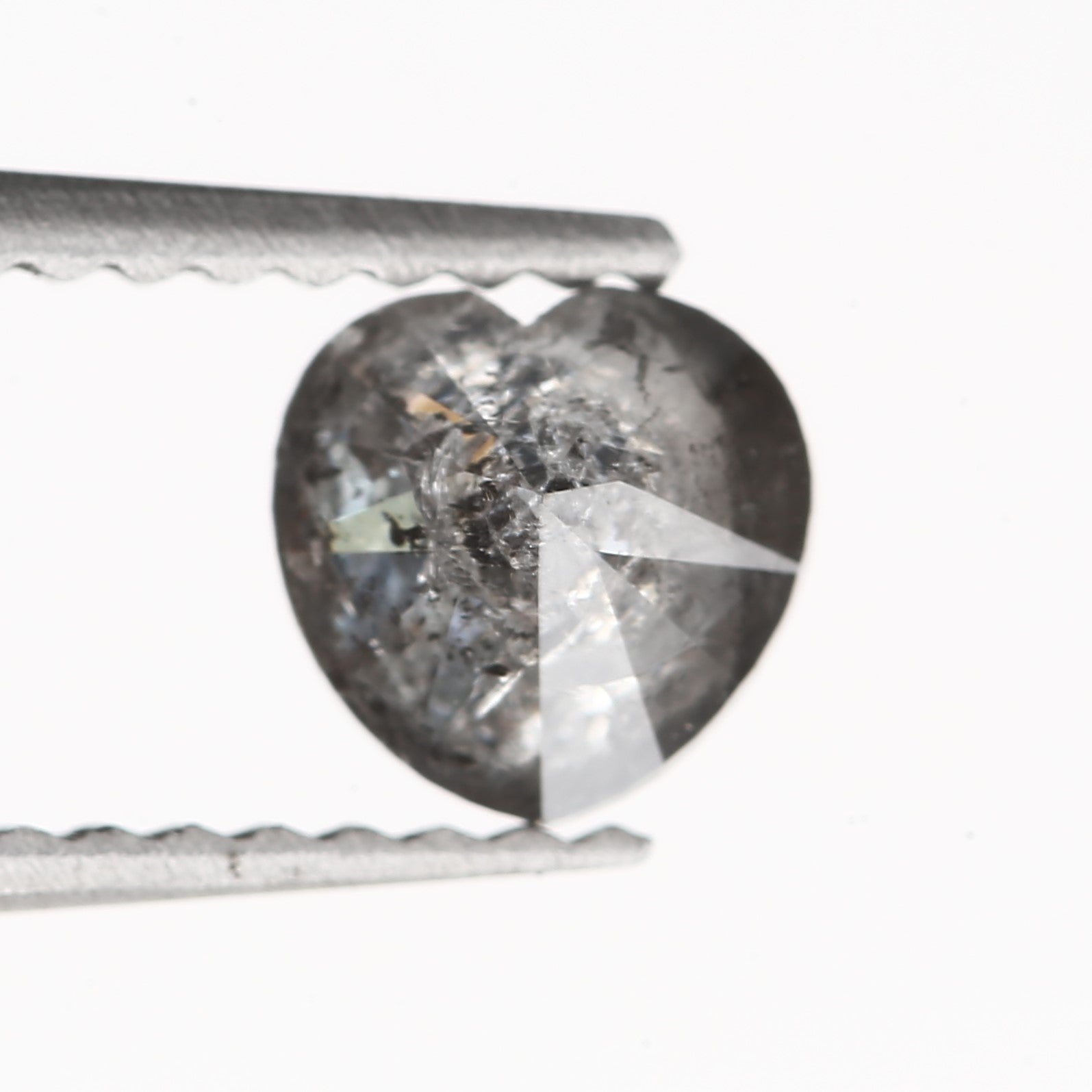 ClariOLED Transparent OLED Display price