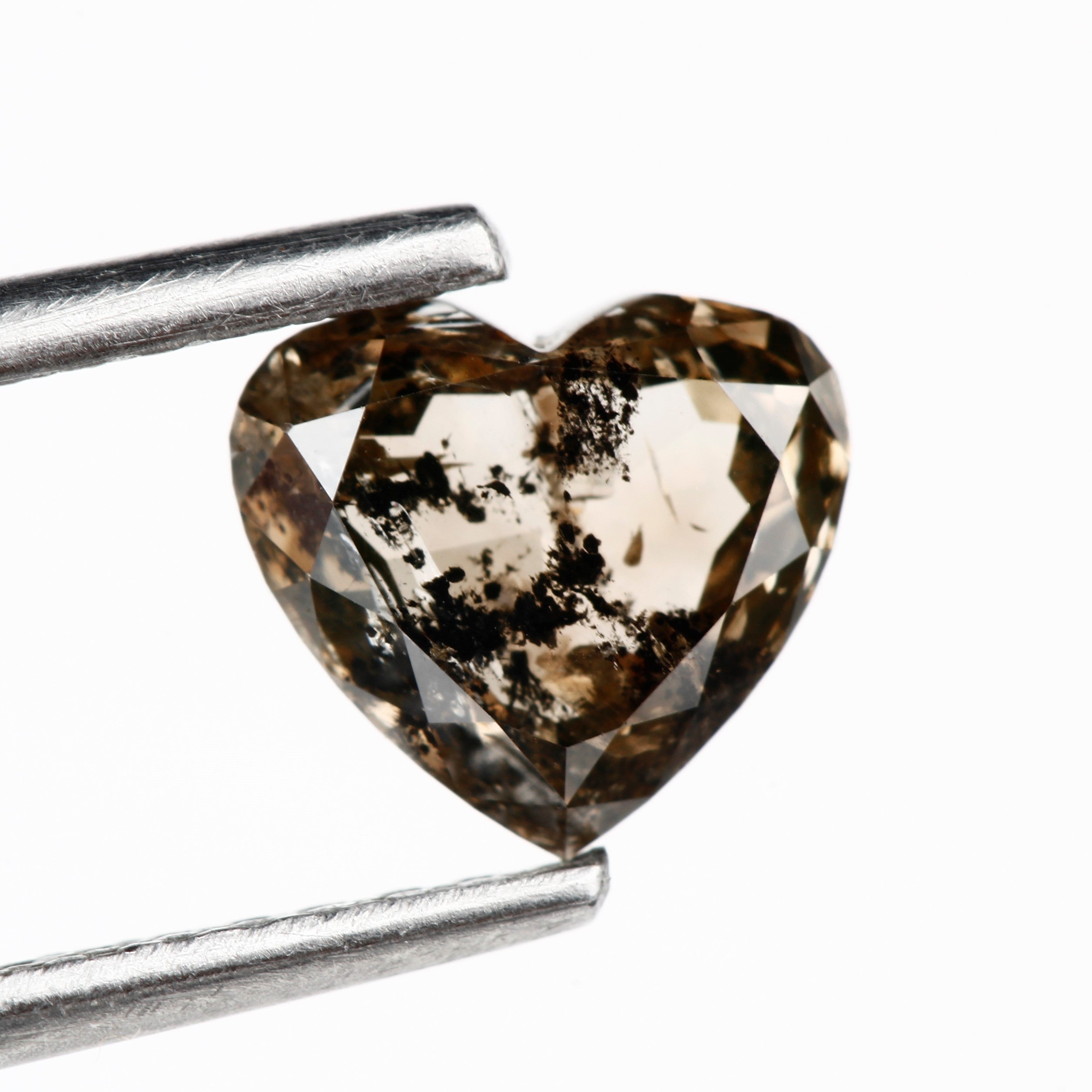 ClariOLED Transparent OLED Display price