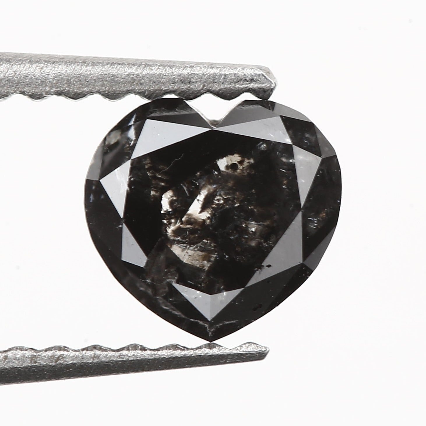 ClariOLED Transparent OLED Display price