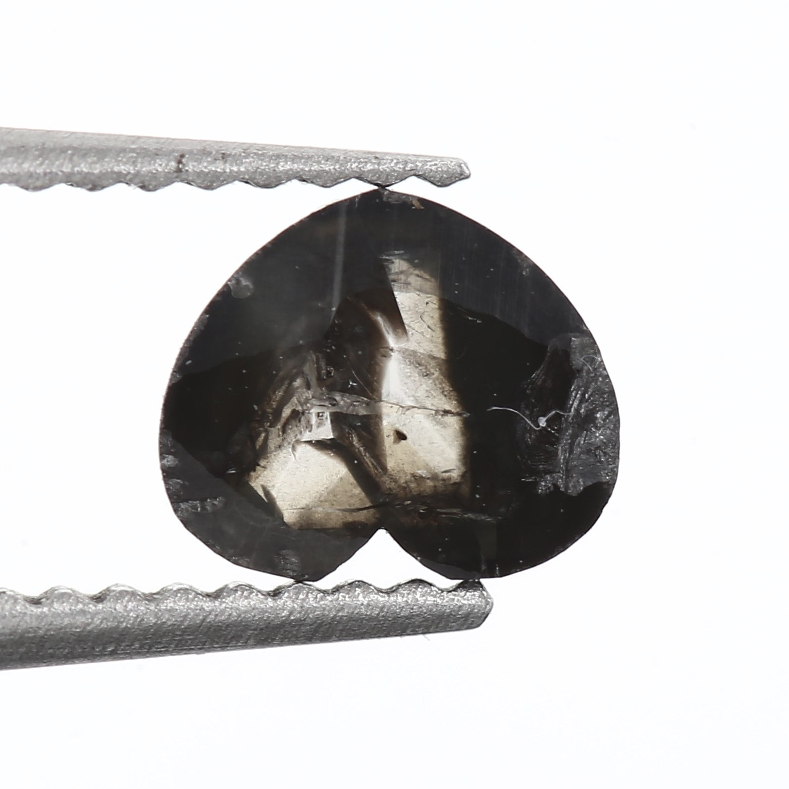 ClariOLED Transparent OLED Display price