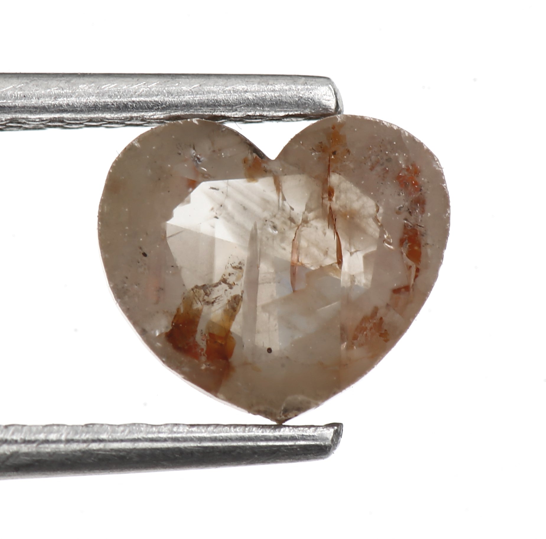 ClariOLED Transparent OLED Display price