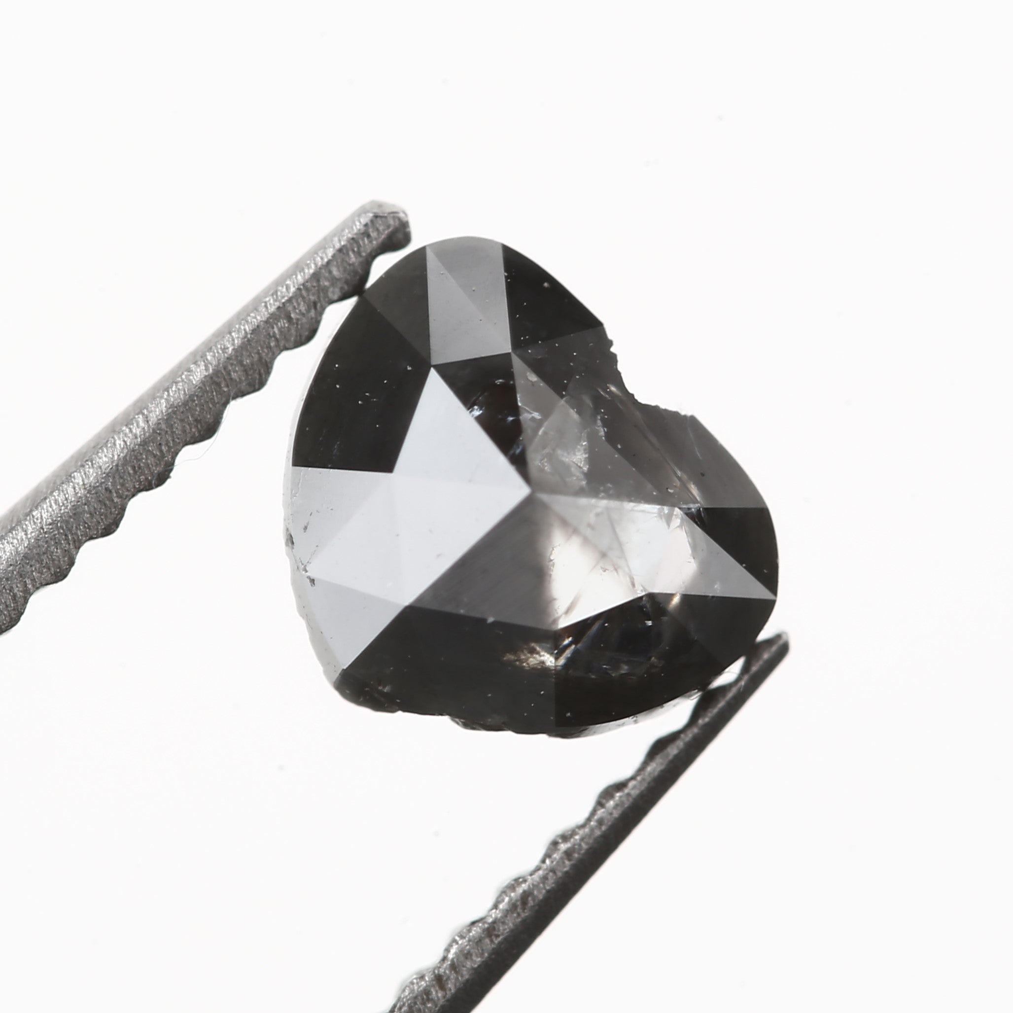 ClariOLED Transparent OLED Display price