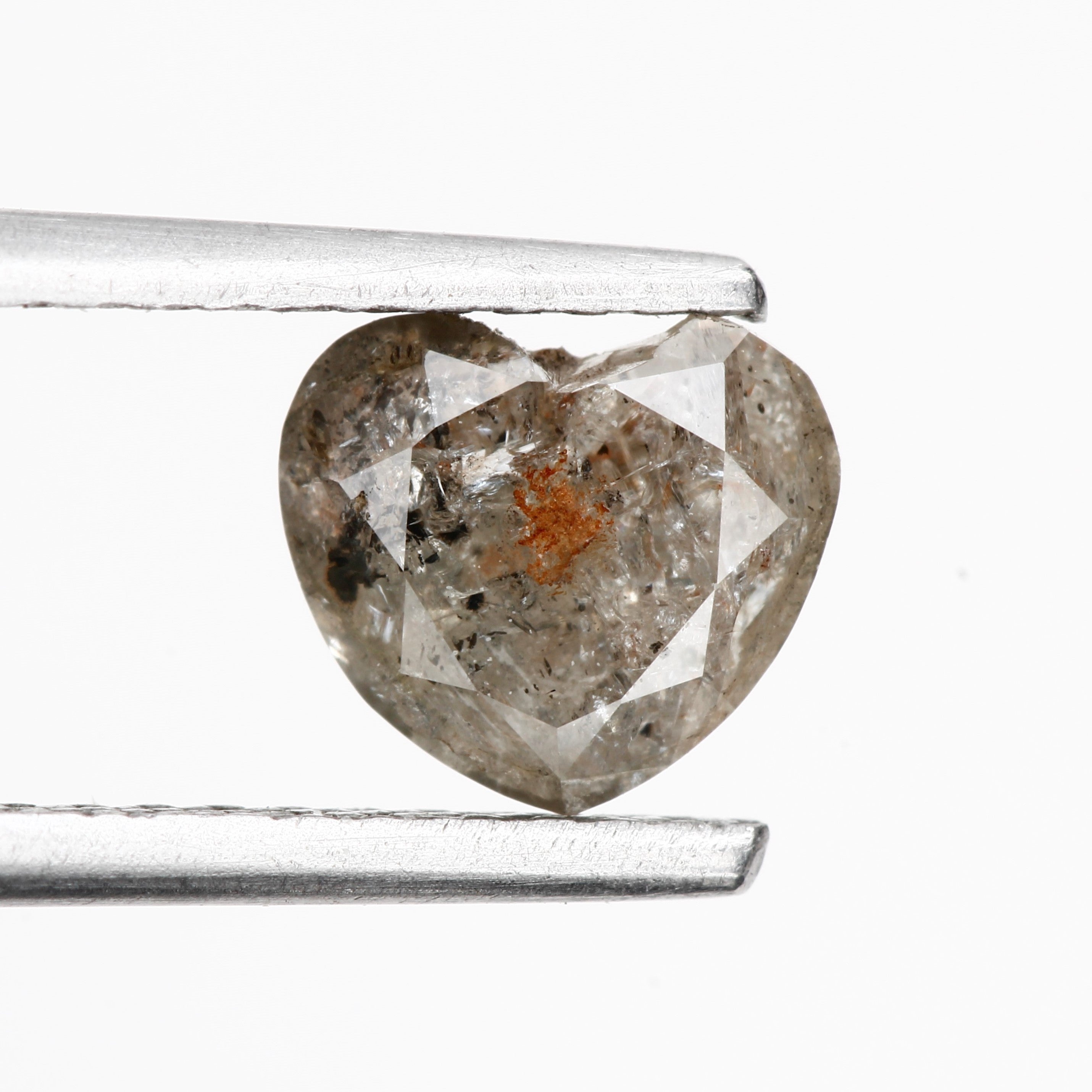 ClariOLED Transparent OLED Display price