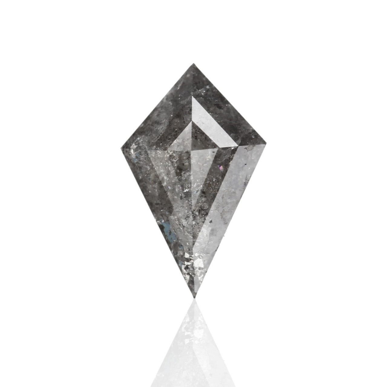 ClariOLED Transparent OLED Display price