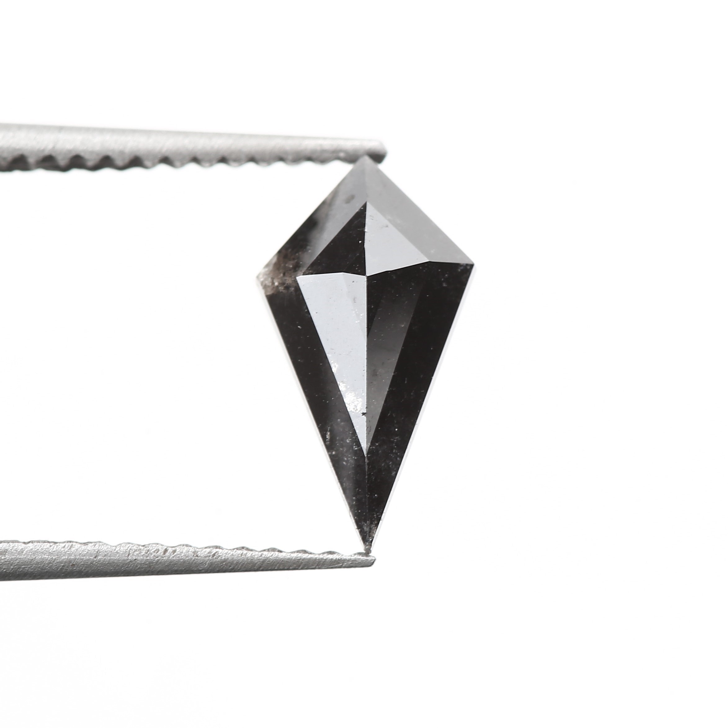 ClariOLED Transparent OLED Display price