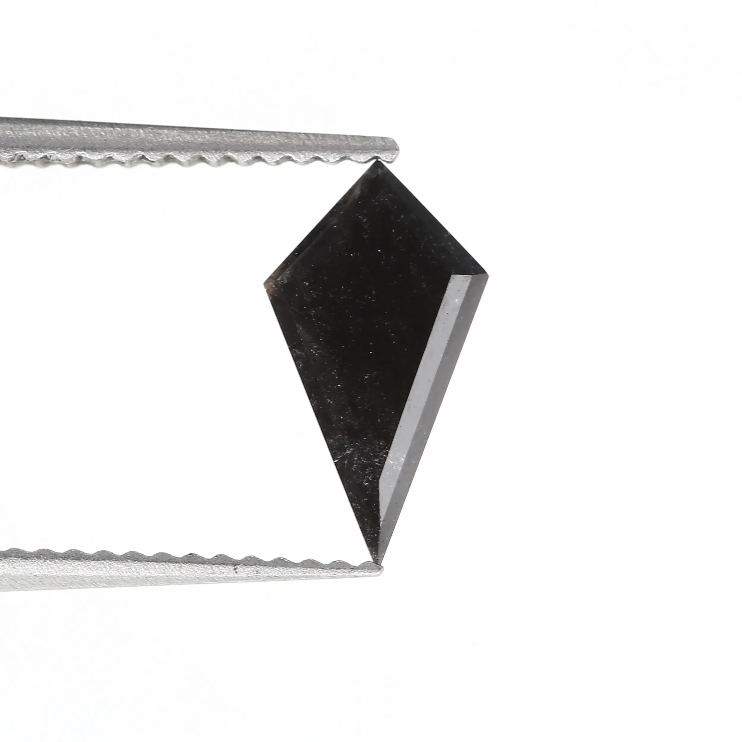 ClariOLED Transparent OLED Display price