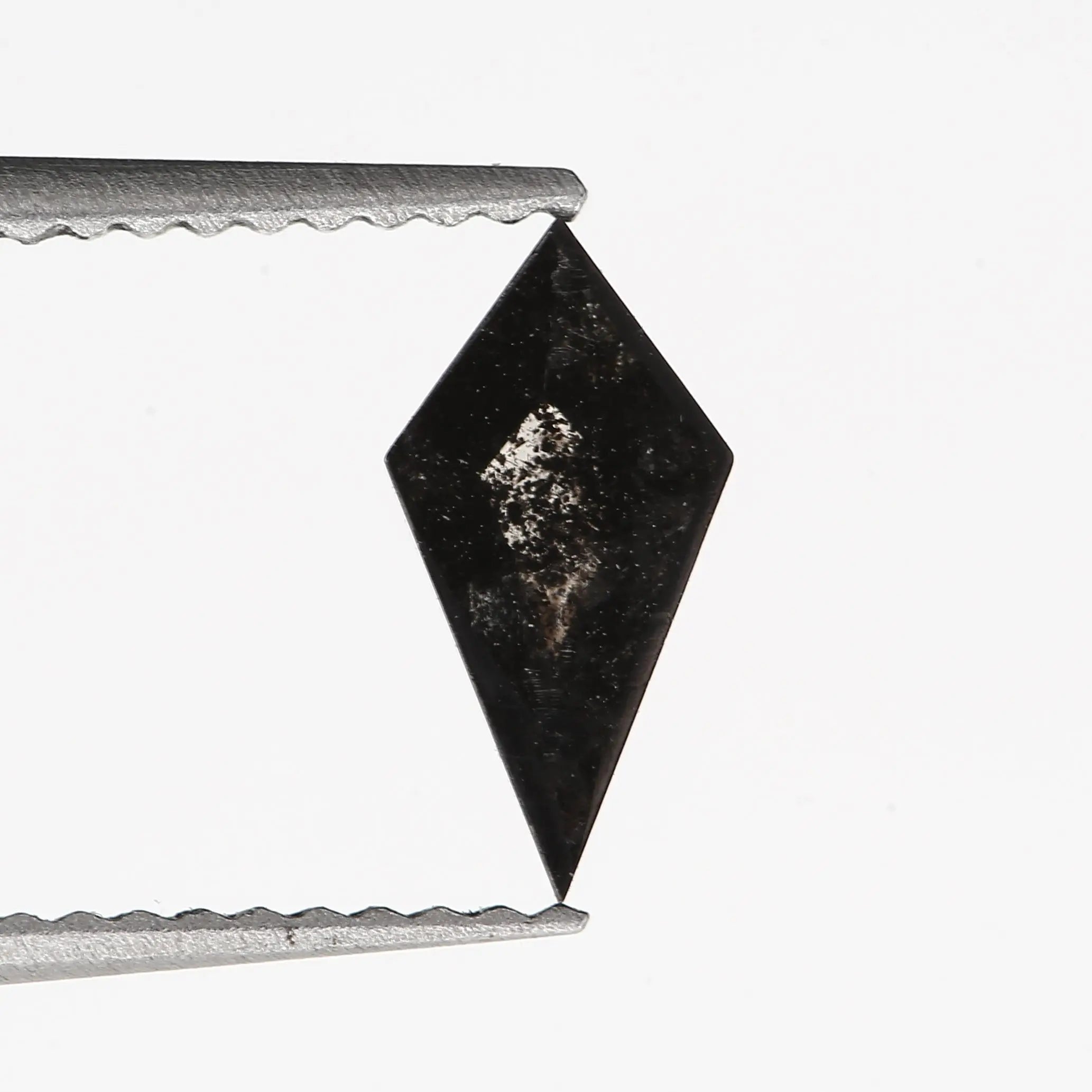 ClariOLED Transparent OLED Display price