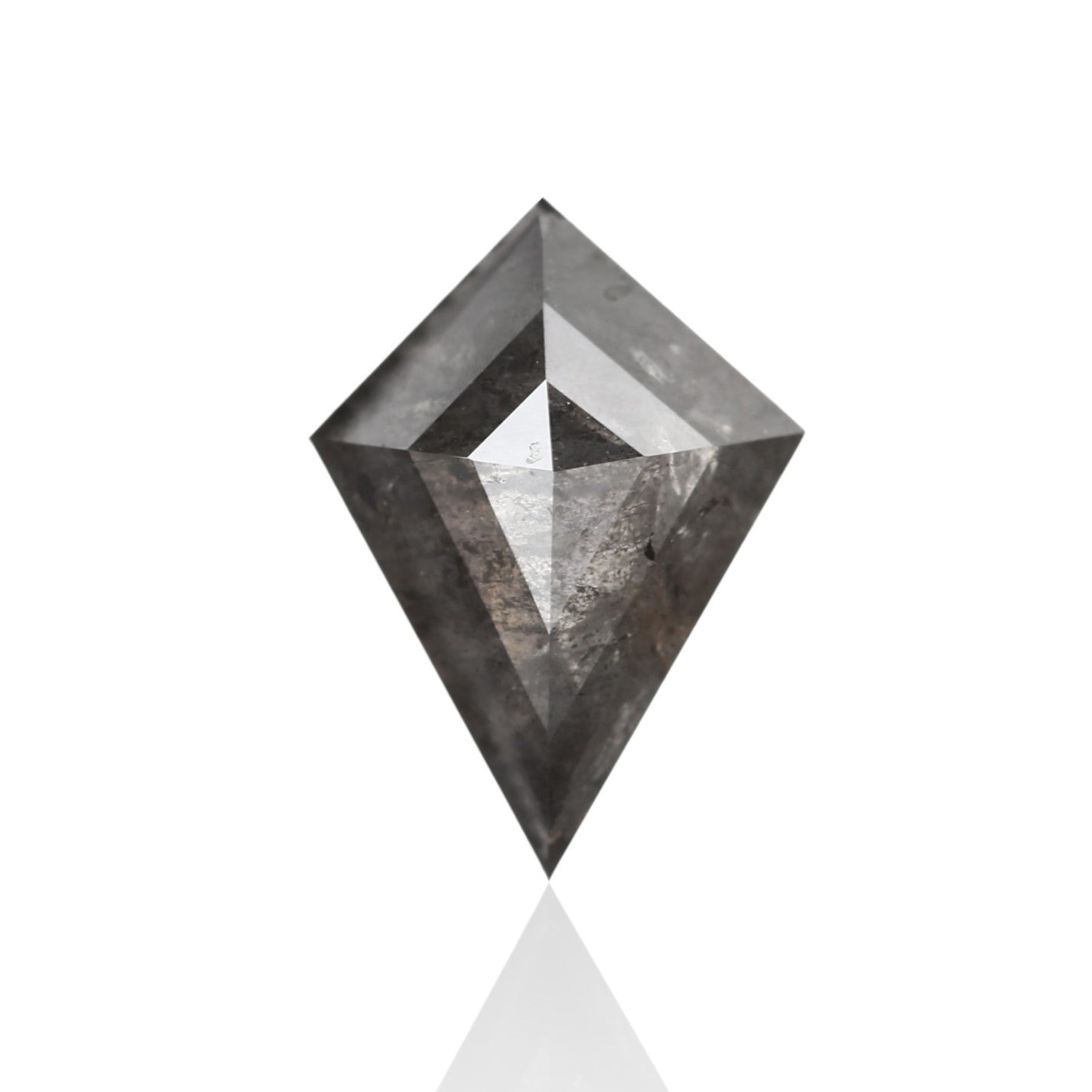 ClariOLED Transparent OLED Display price