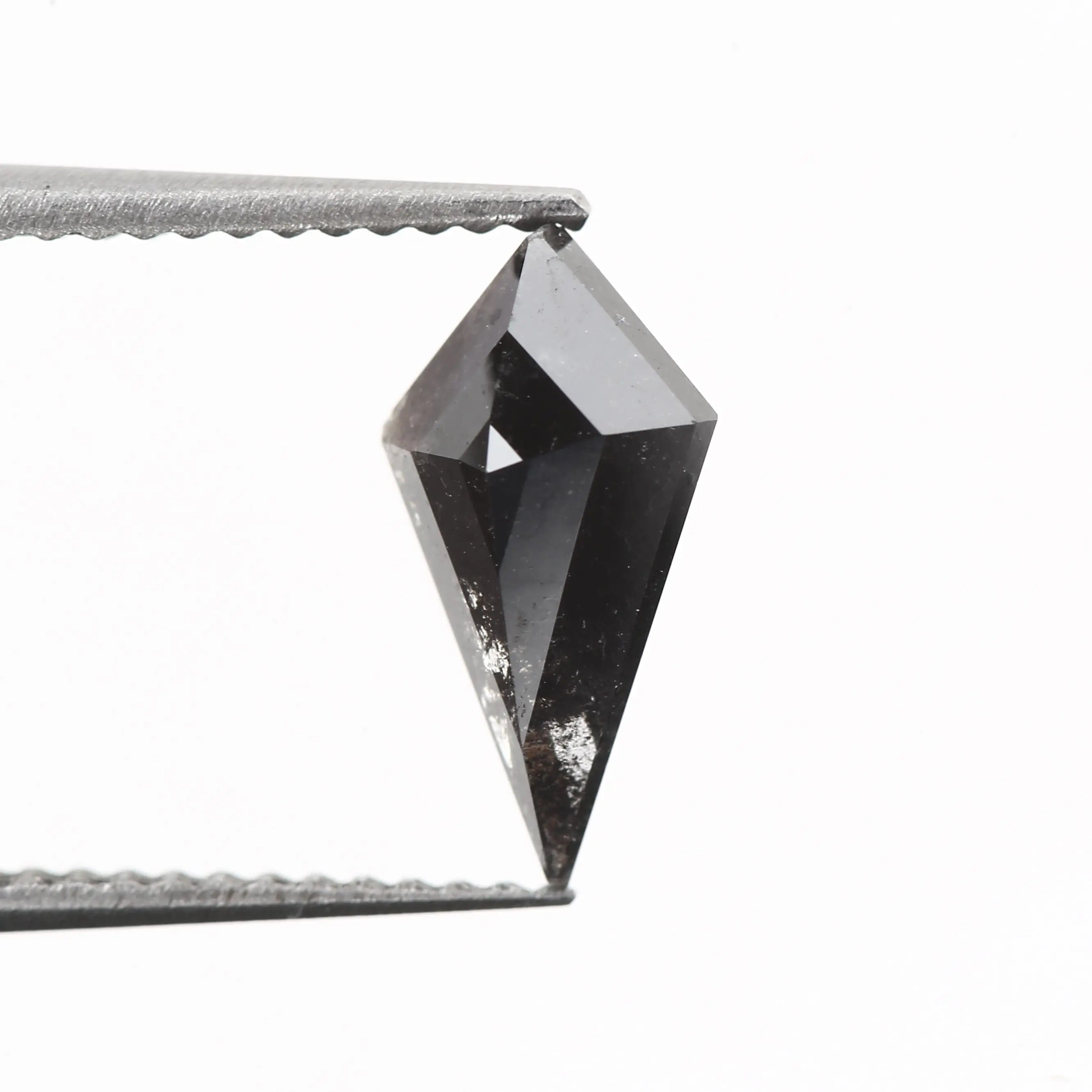 ClariOLED Transparent OLED Display price