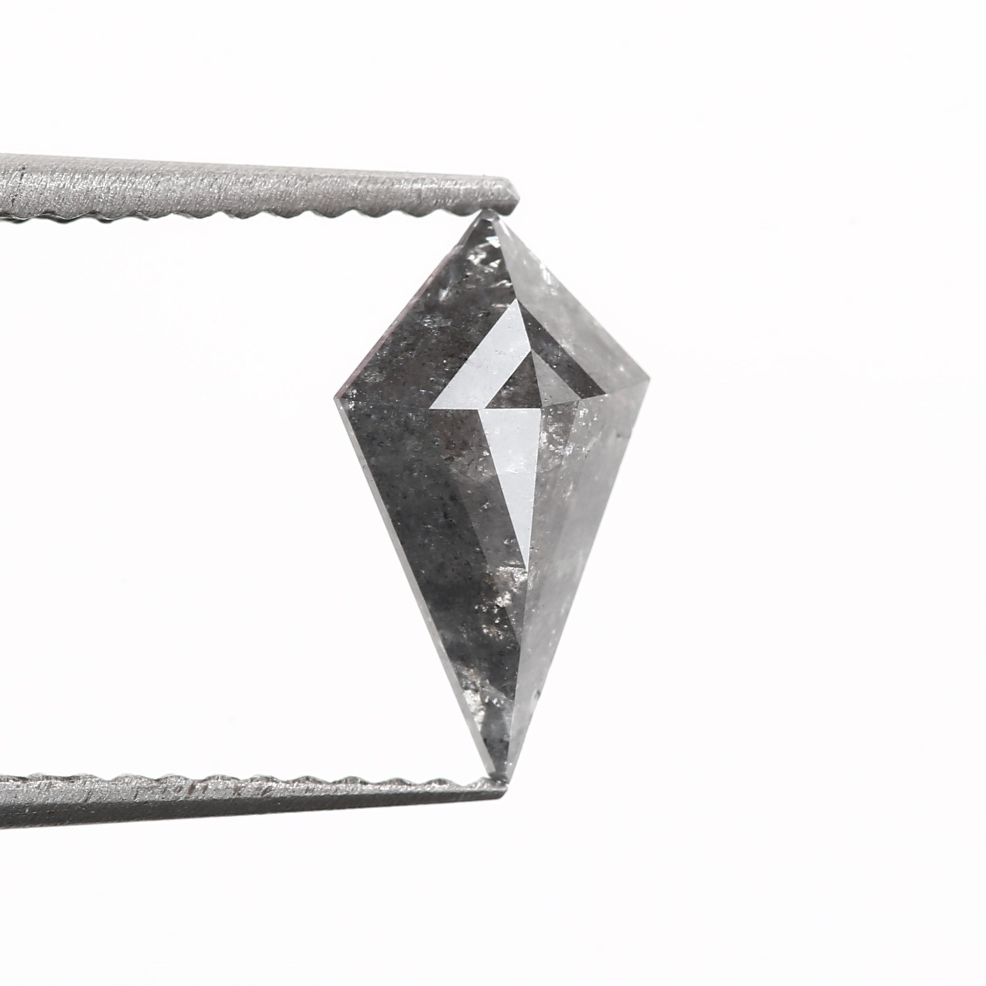 ClariOLED Transparent OLED Display price