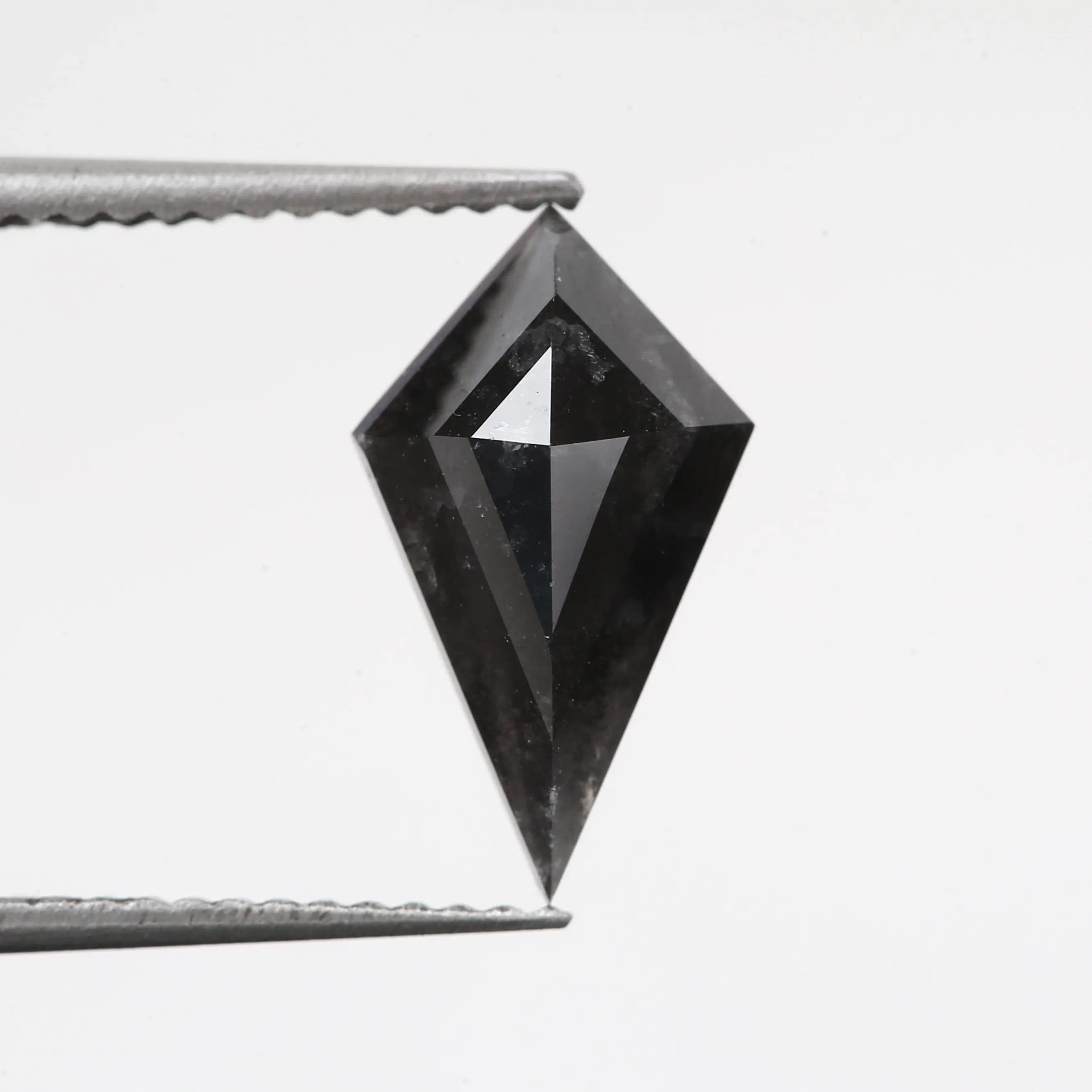 ClariOLED Transparent OLED Display price