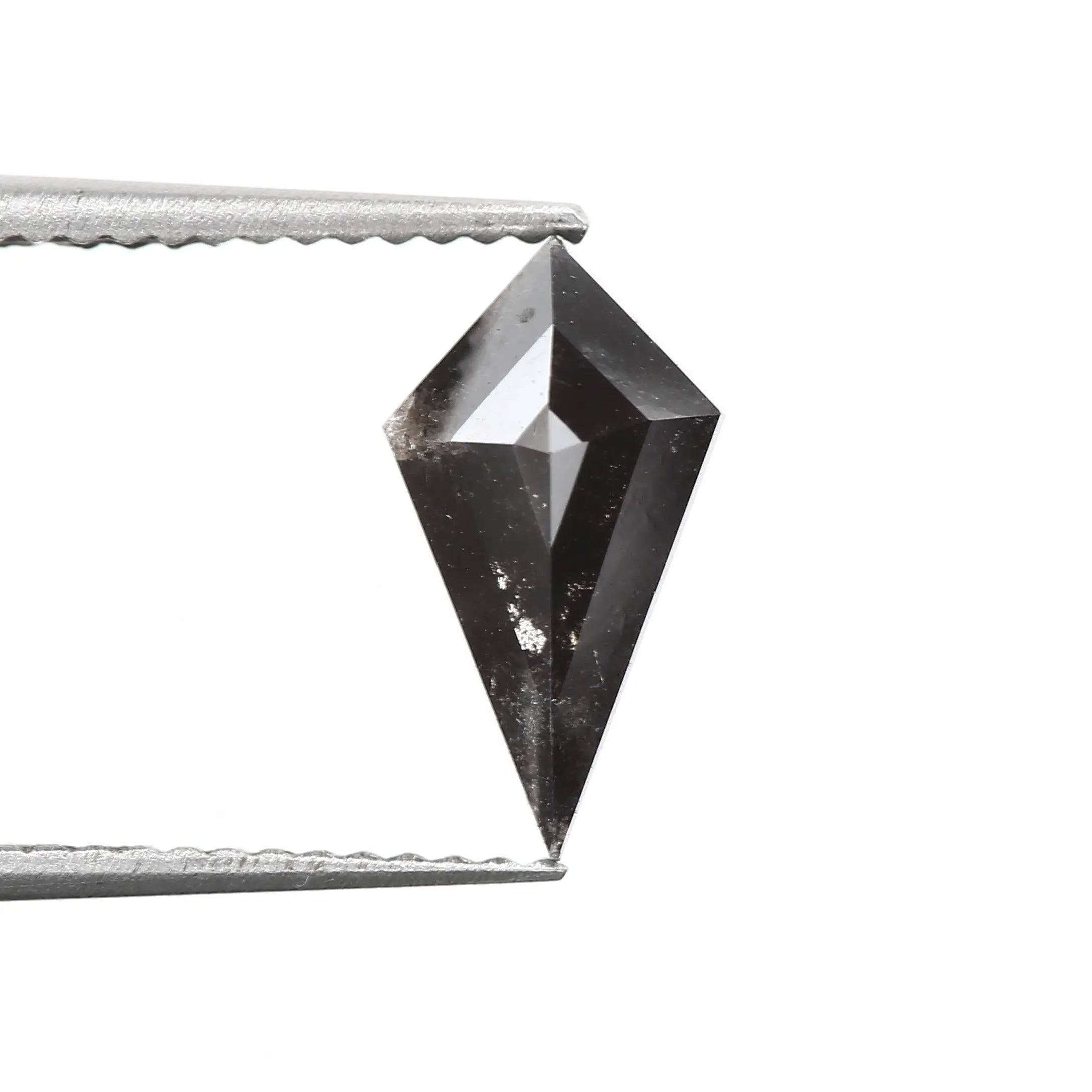 ClariOLED Transparent OLED Display price