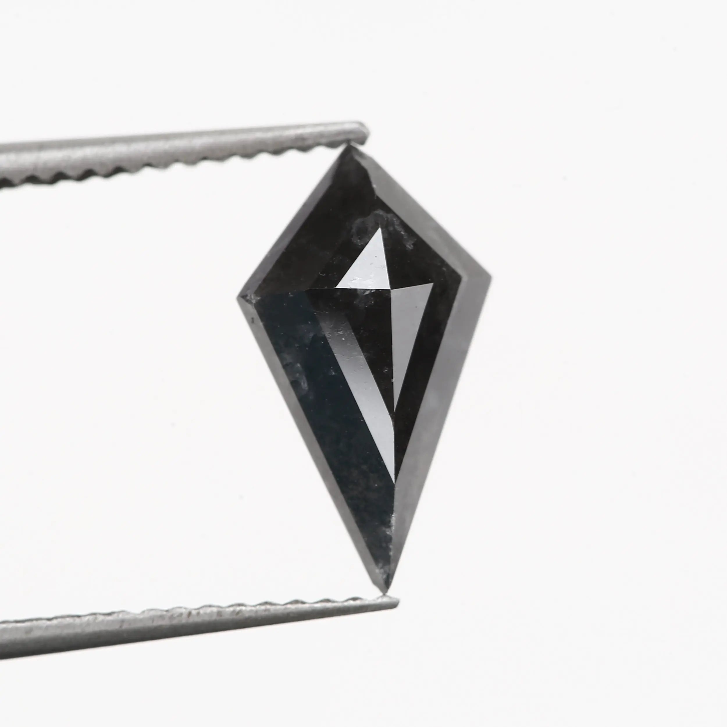 ClariOLED Transparent OLED Display price