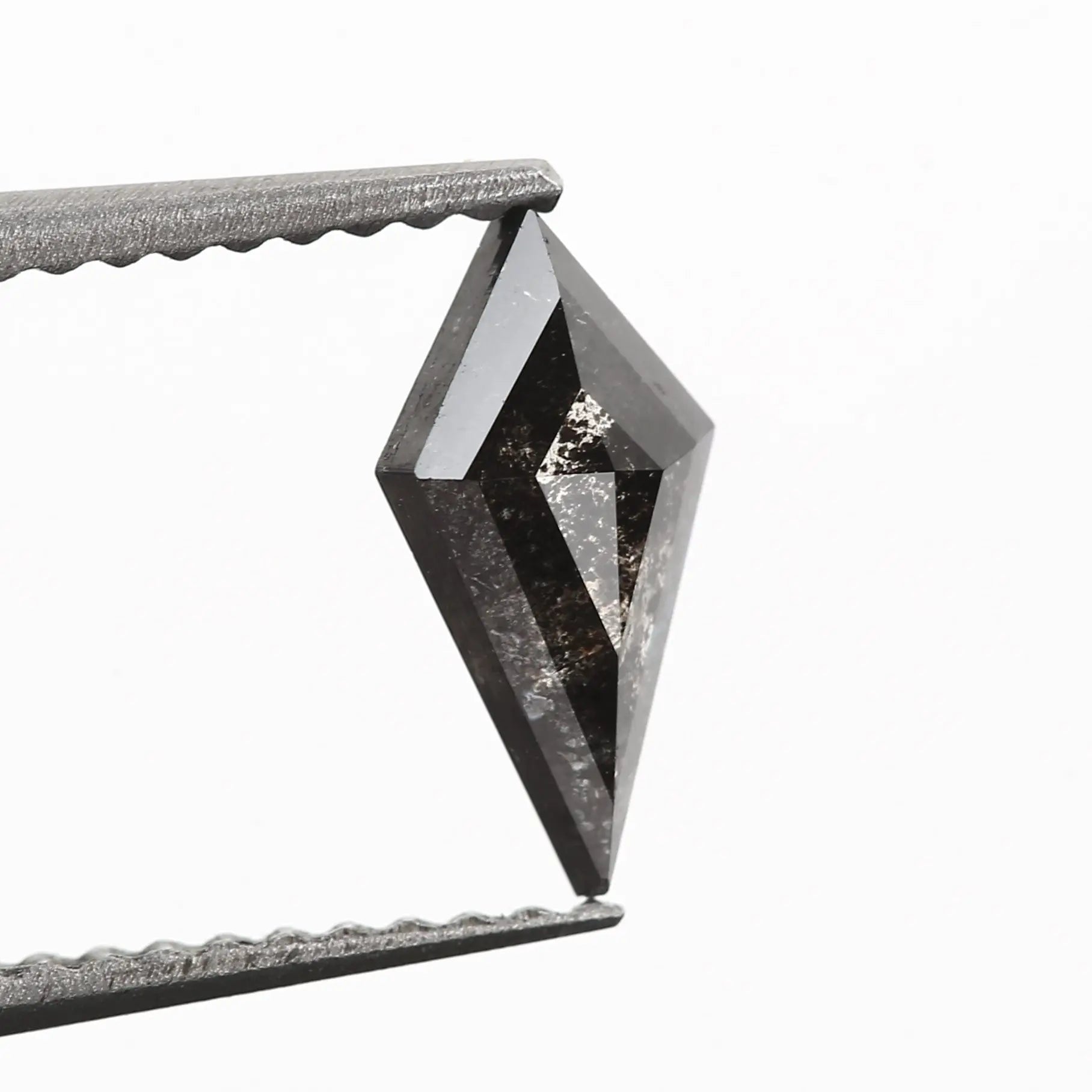 ClariOLED Transparent OLED Display price