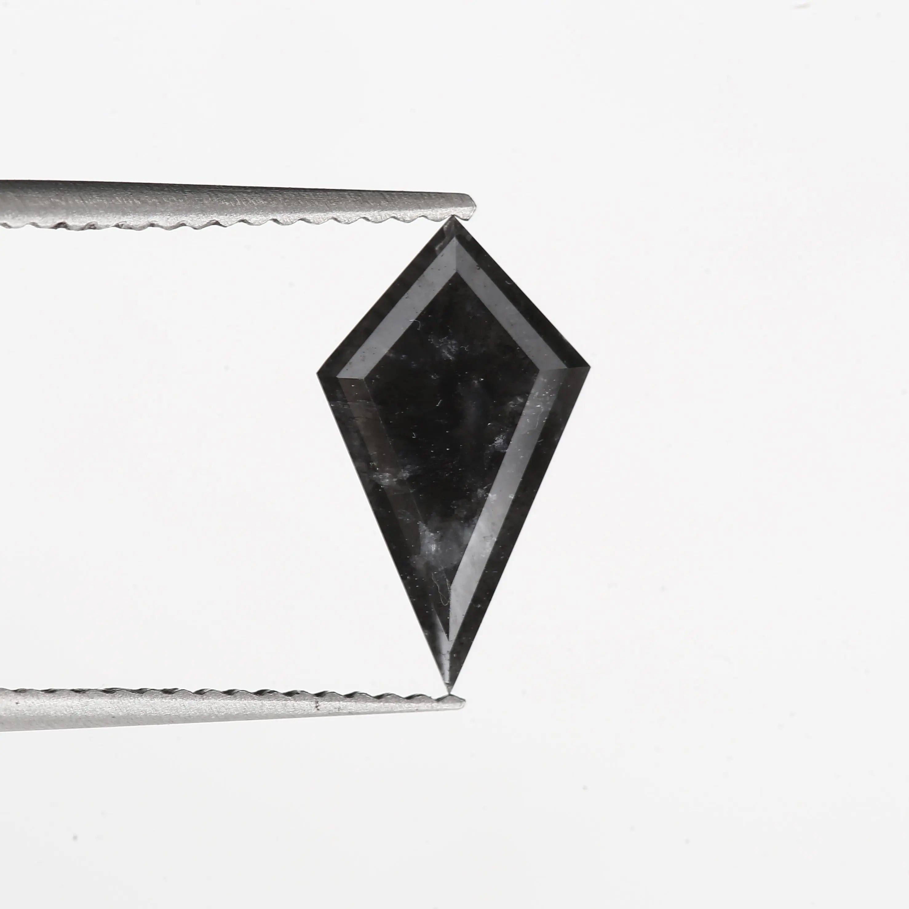 ClariOLED Transparent OLED Display price