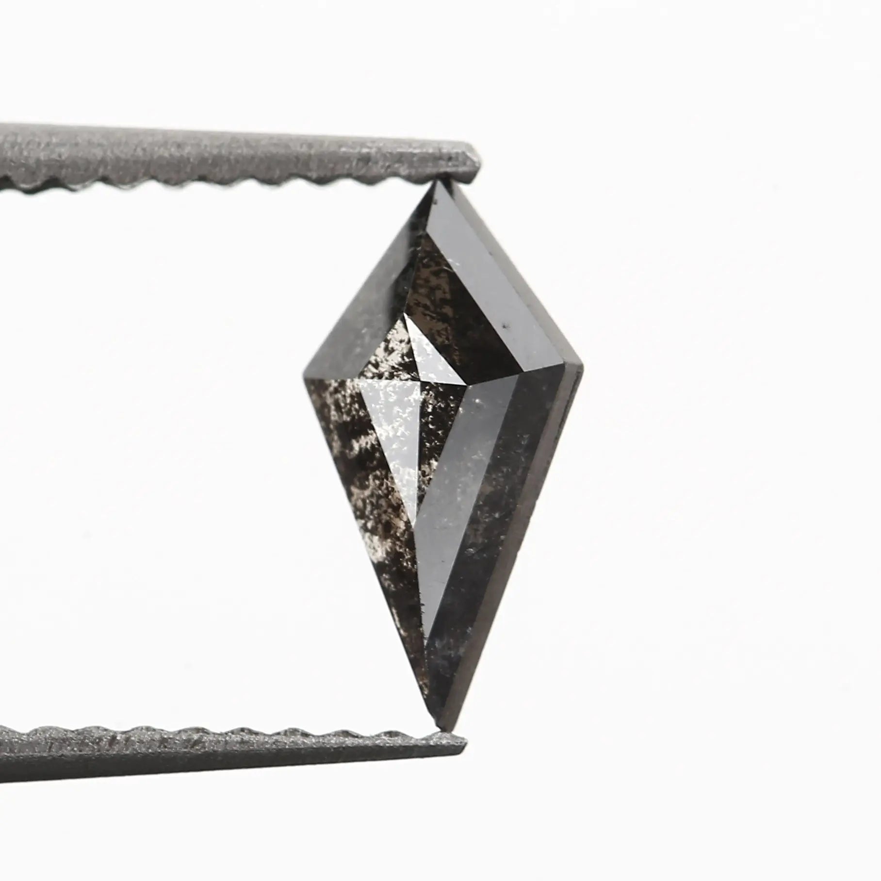 ClariOLED Transparent OLED Display price