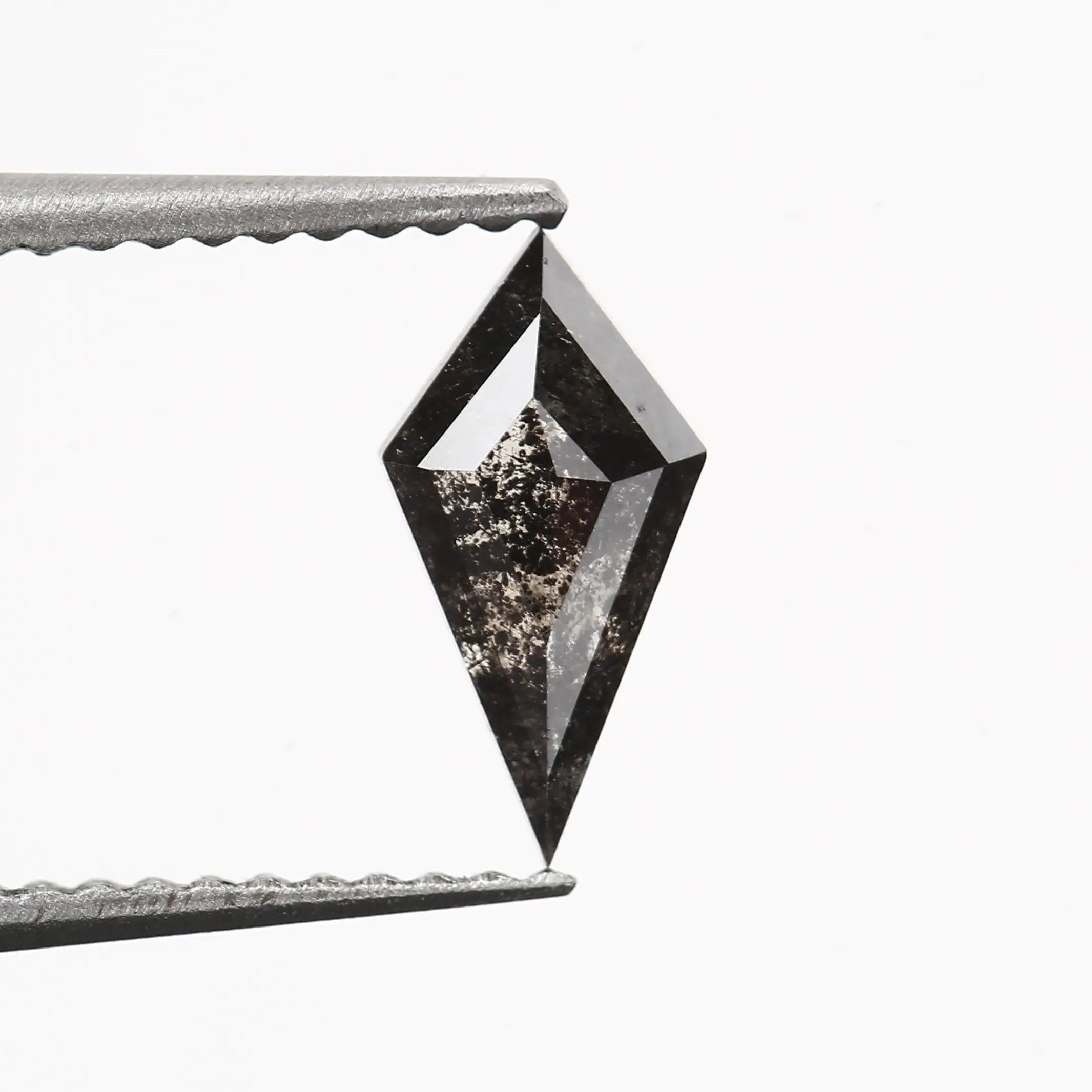 ClariOLED Transparent OLED Display price