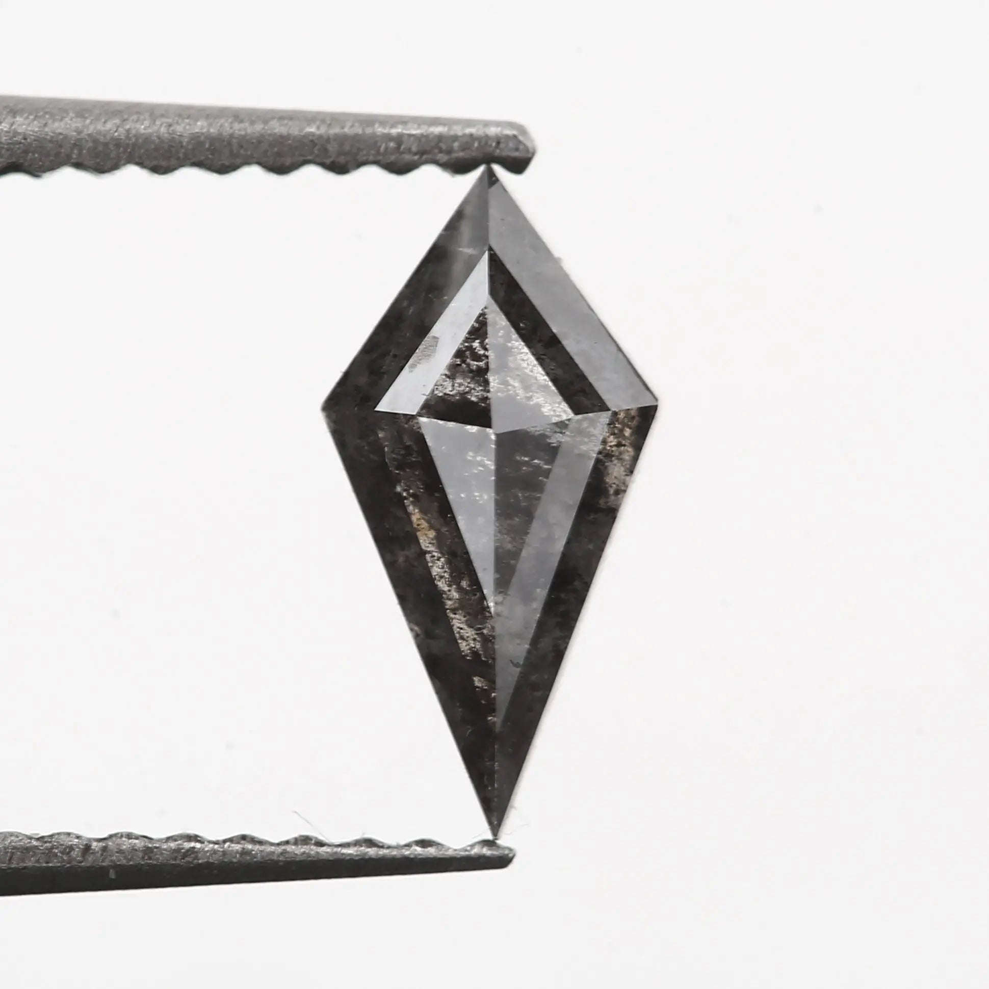 ClariOLED Transparent OLED Display price