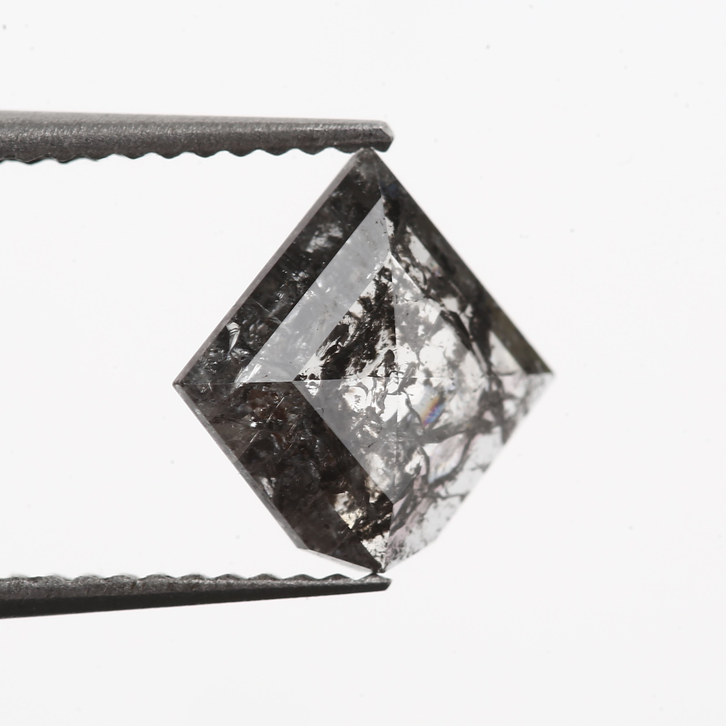 ClariOLED Transparent OLED Display price