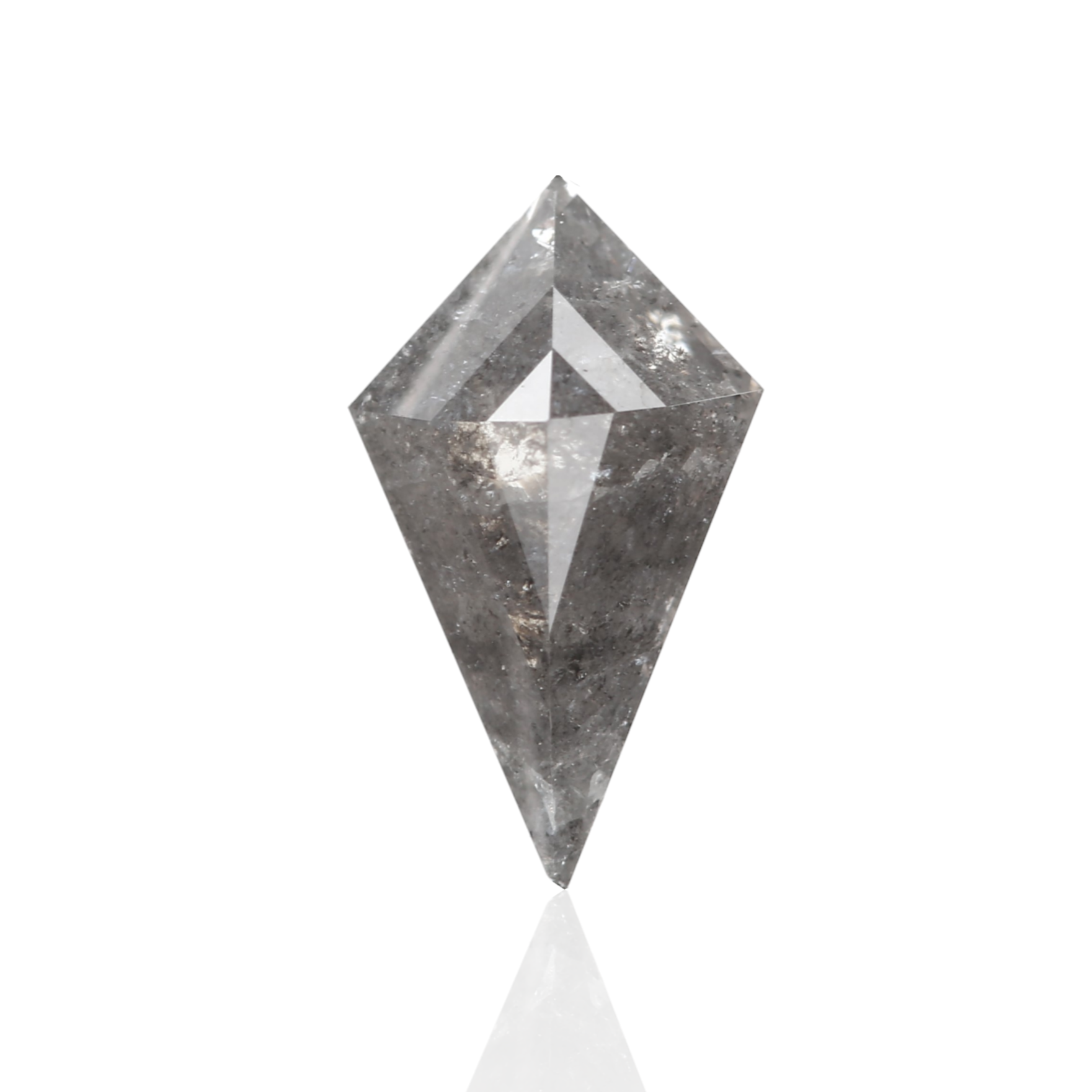 ClariOLED Transparent OLED Display price