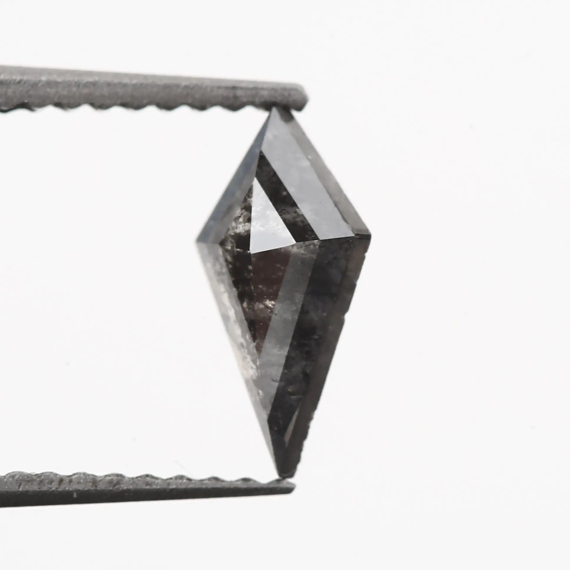 ClariOLED Transparent OLED Display price