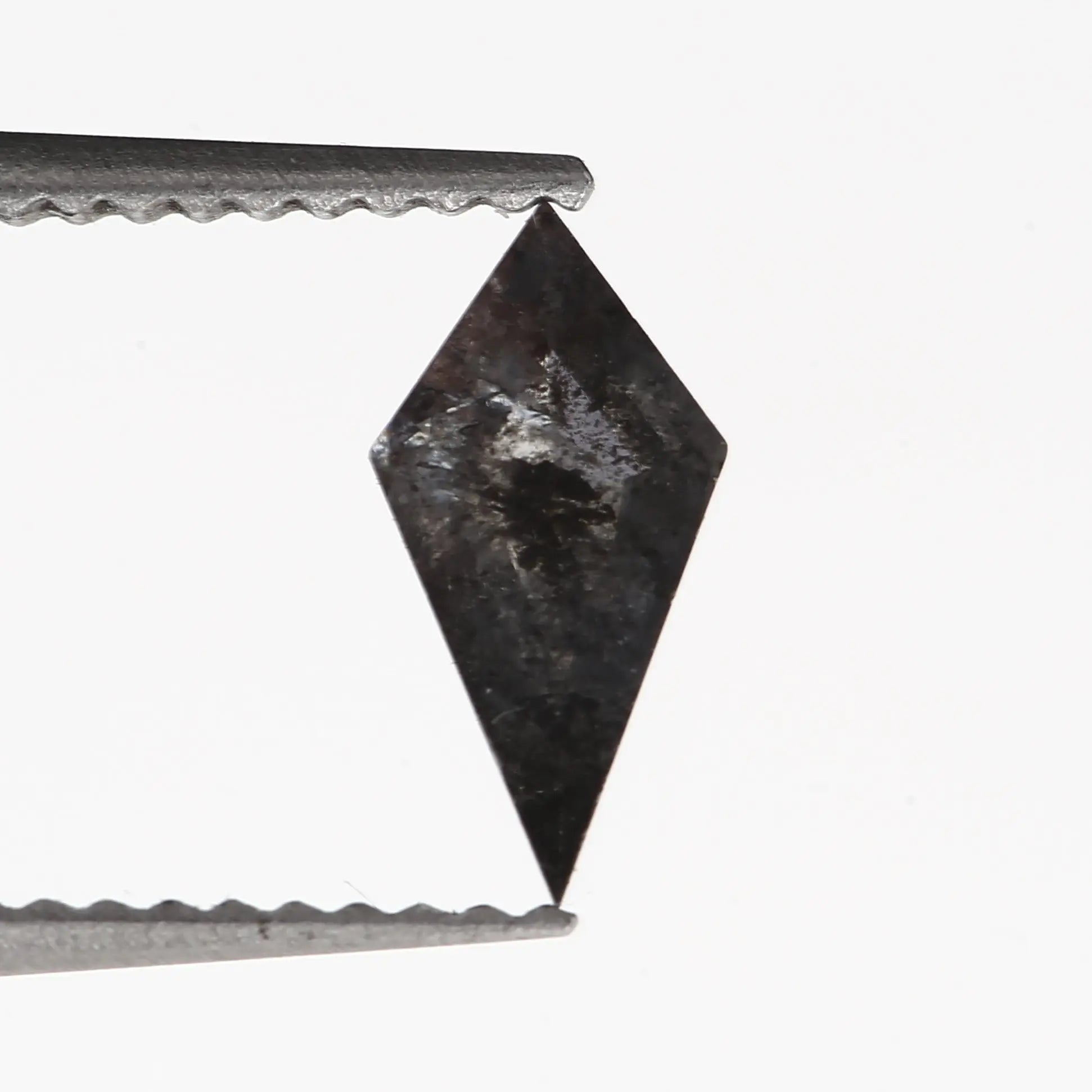 ClariOLED Transparent OLED Display price