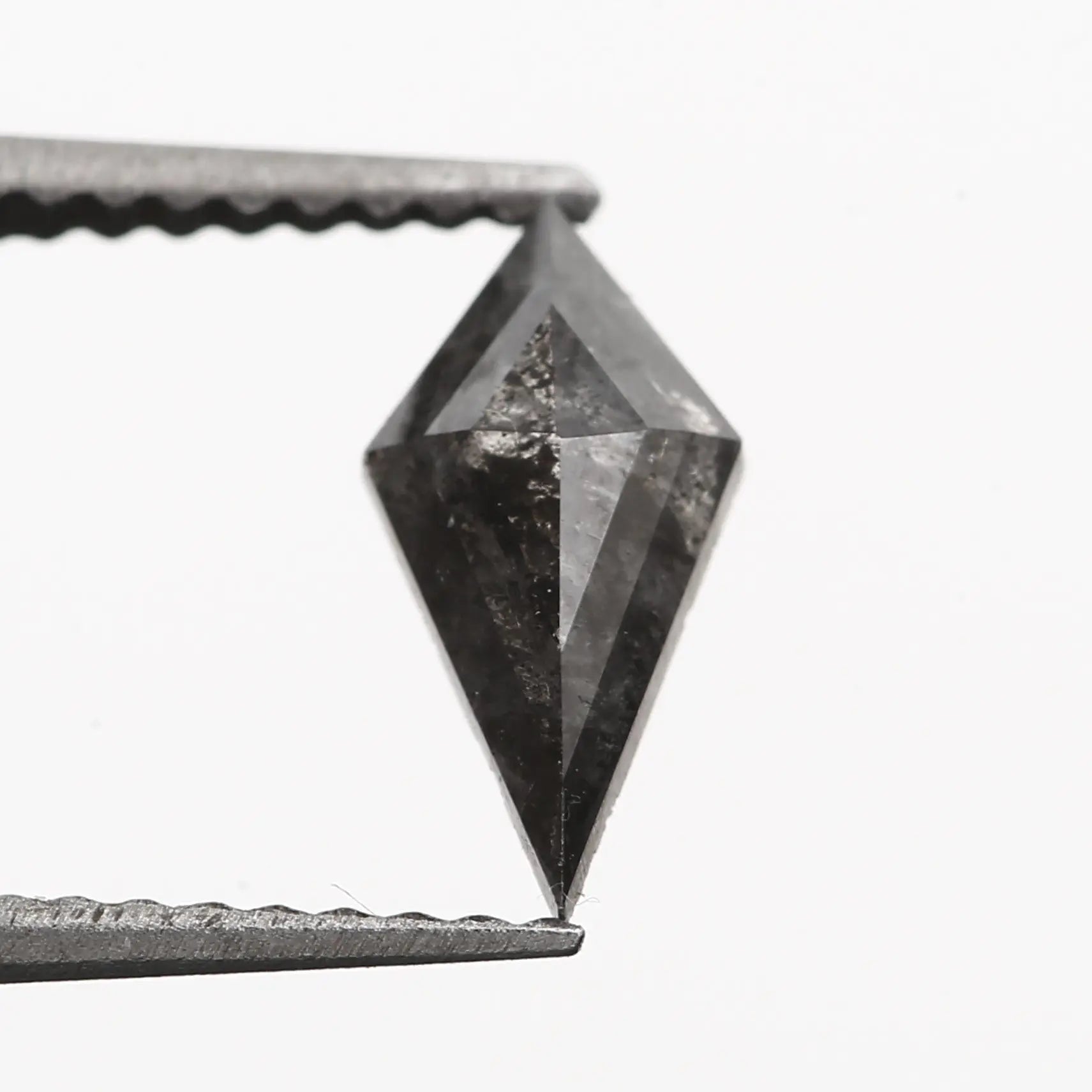 ClariOLED Transparent OLED Display price