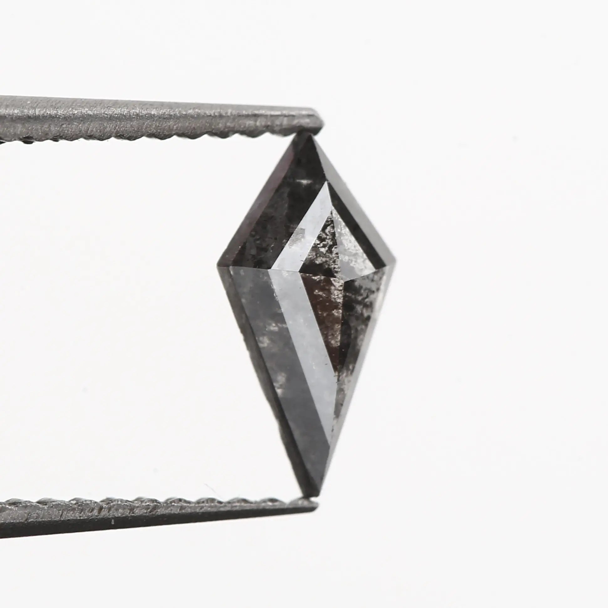 ClariOLED Transparent OLED Display price