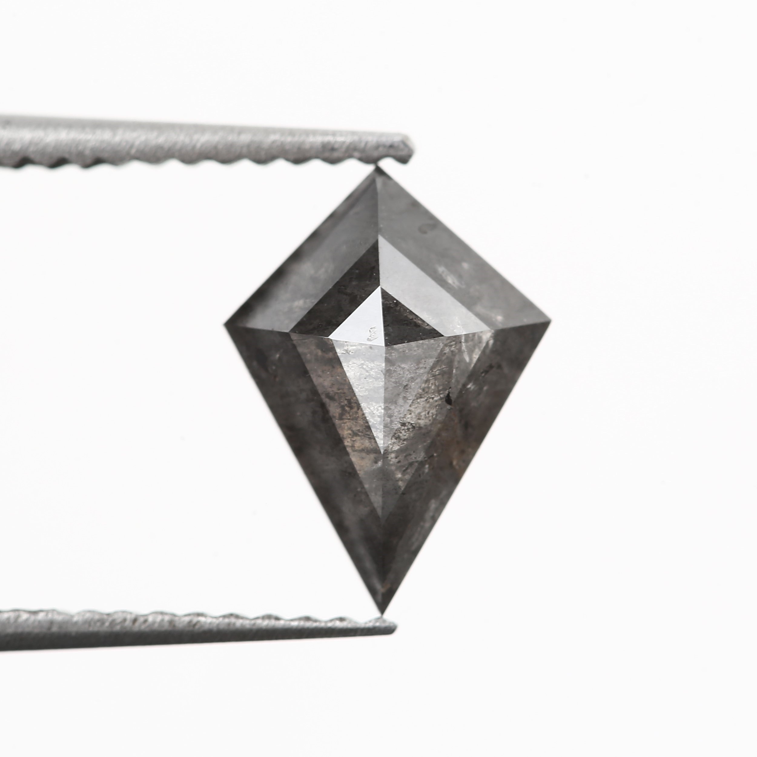 ClariOLED Transparent OLED Display price