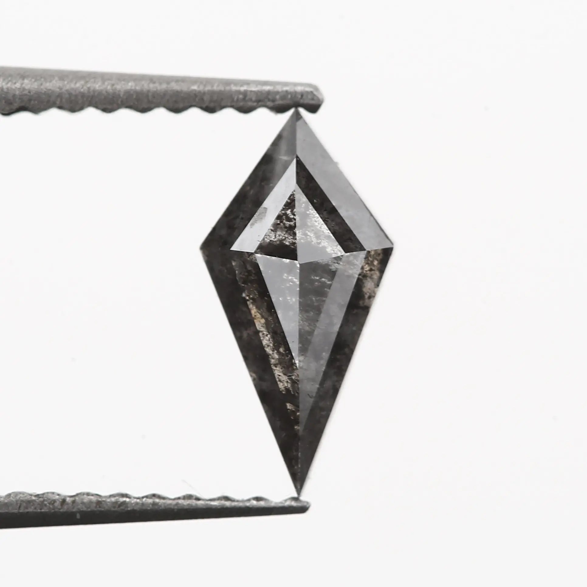 ClariOLED Transparent OLED Display price