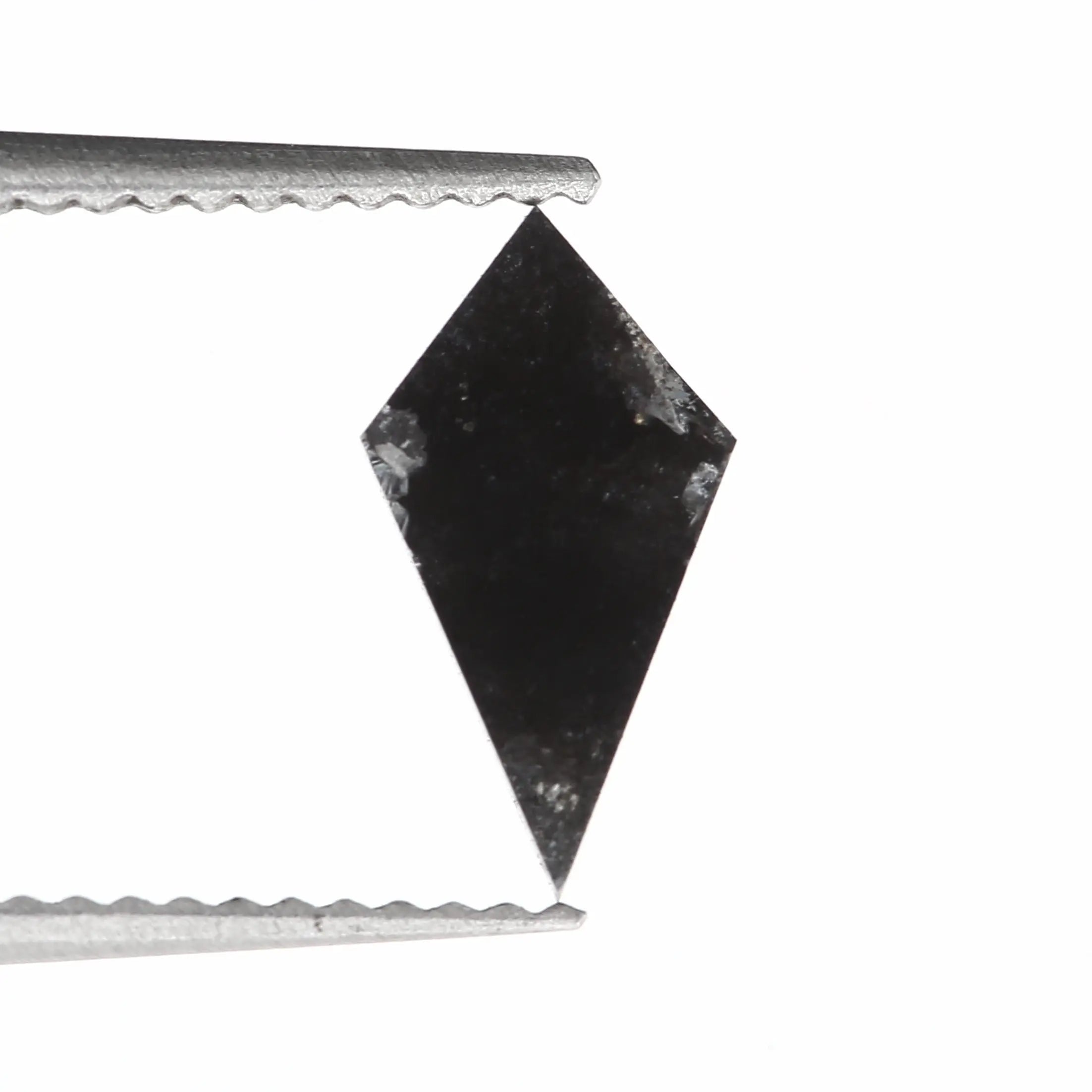 ClariOLED Transparent OLED Display price