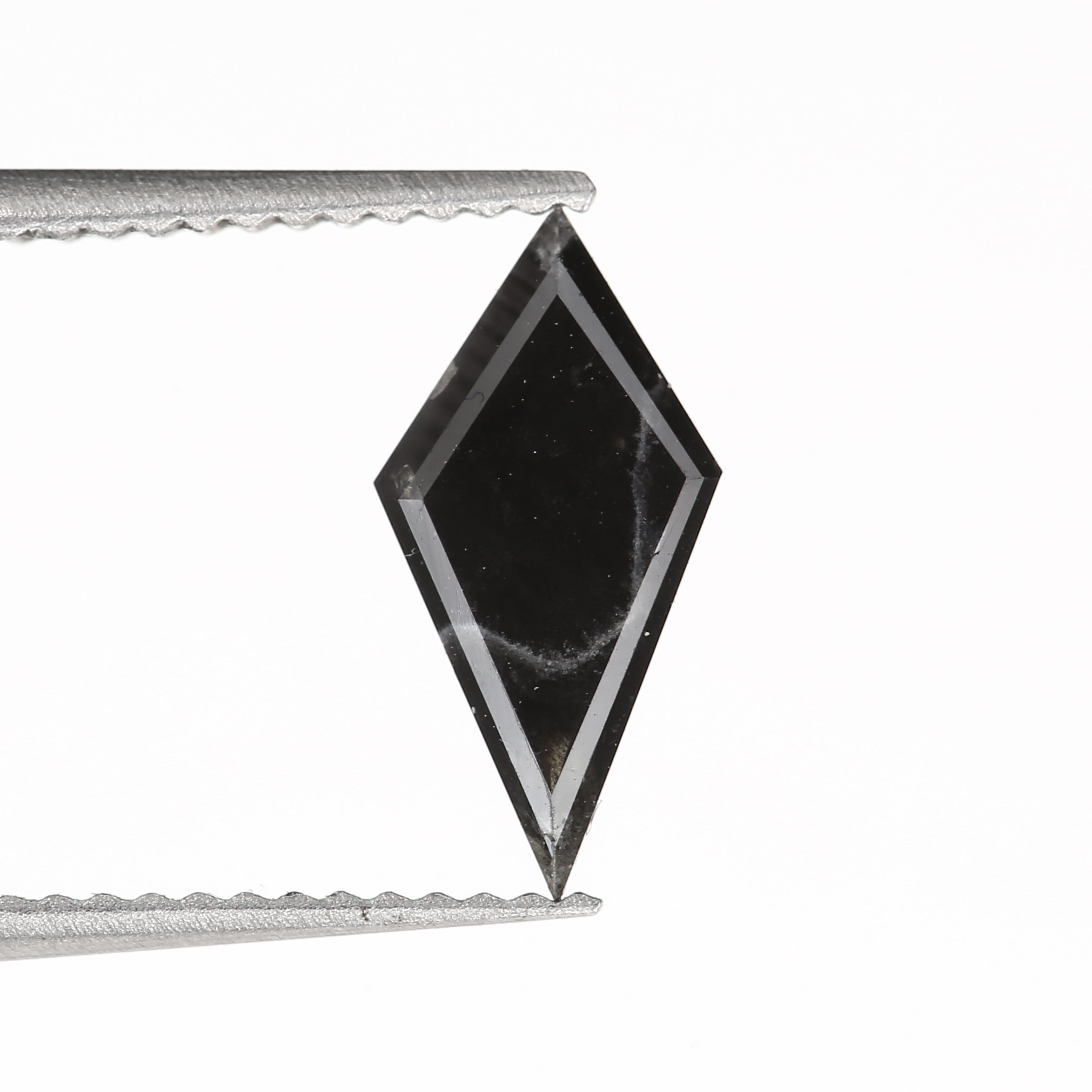 ClariOLED Transparent OLED Display price