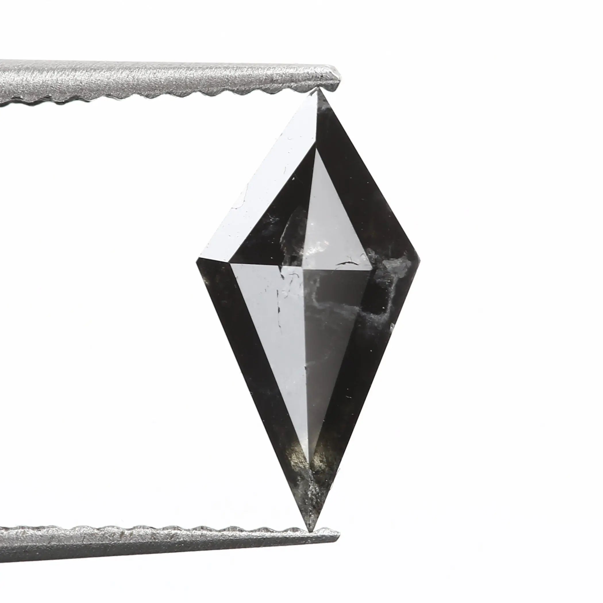 ClariOLED Transparent OLED Display price