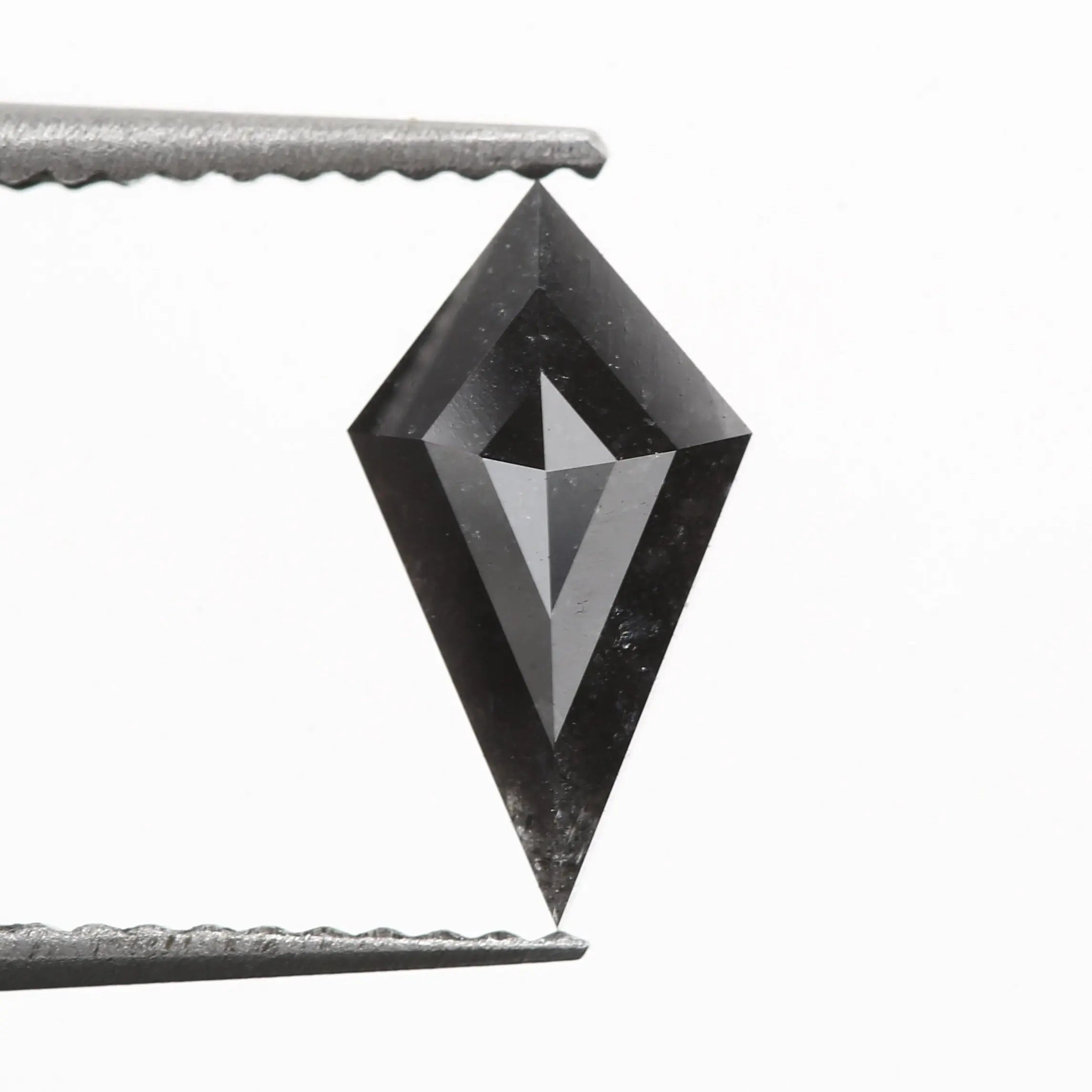 ClariOLED Transparent OLED Display price