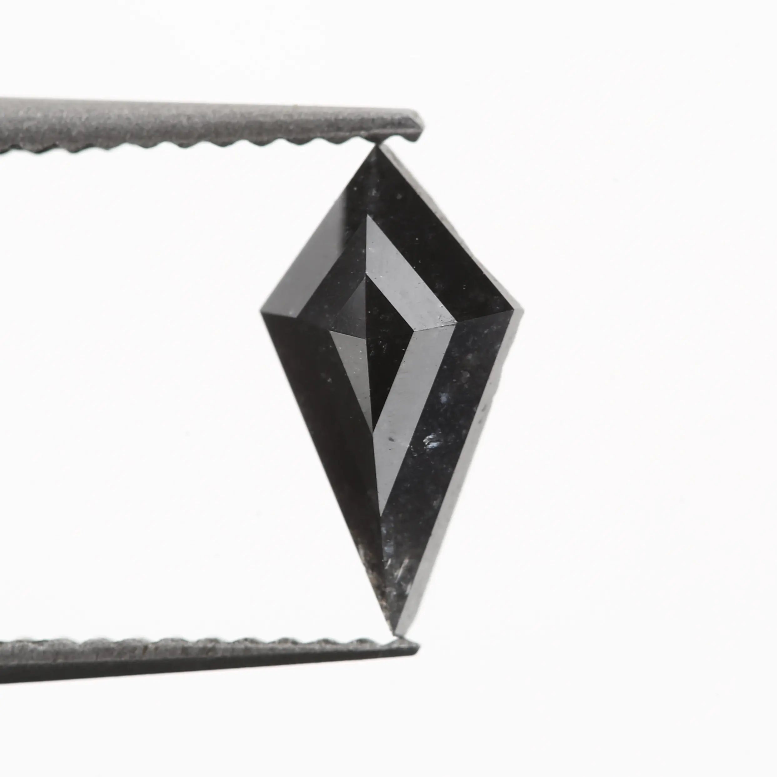 ClariOLED Transparent OLED Display price