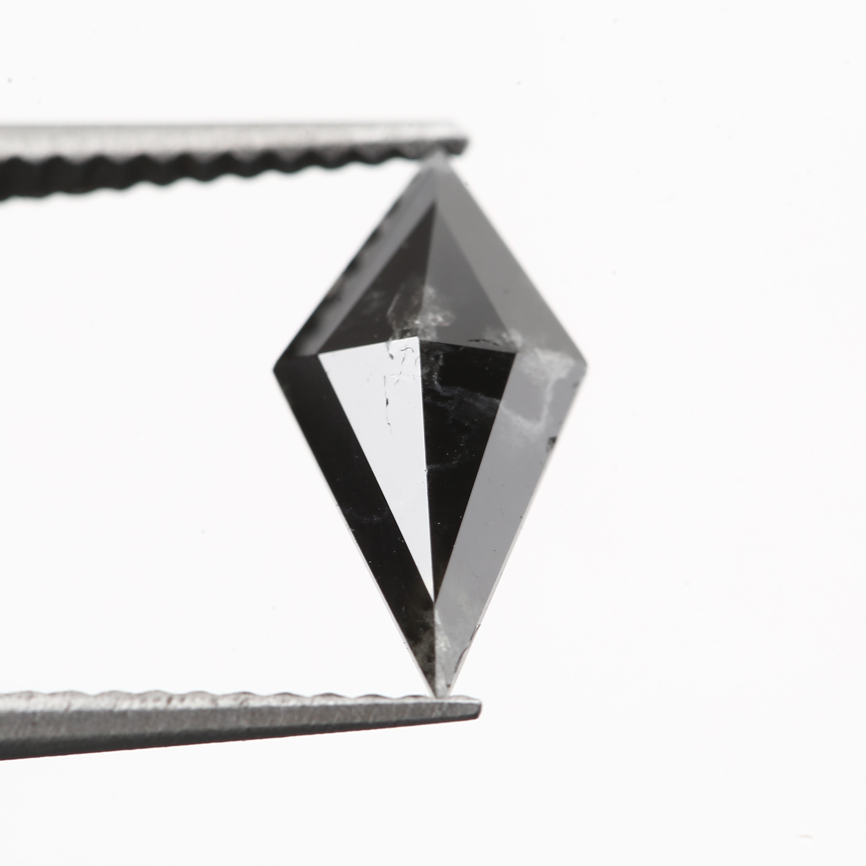 ClariOLED Transparent OLED Display price