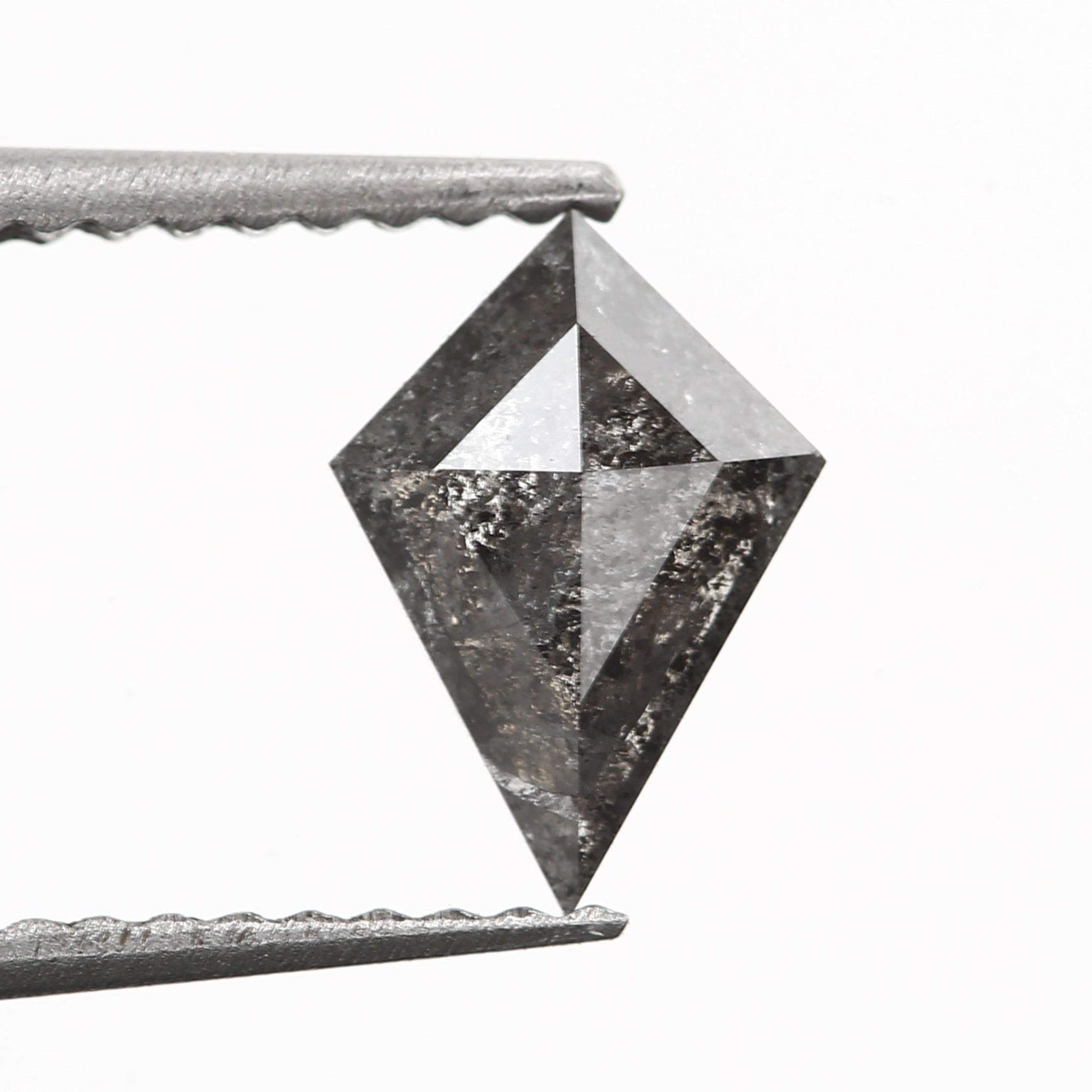 ClariOLED Transparent OLED Display price