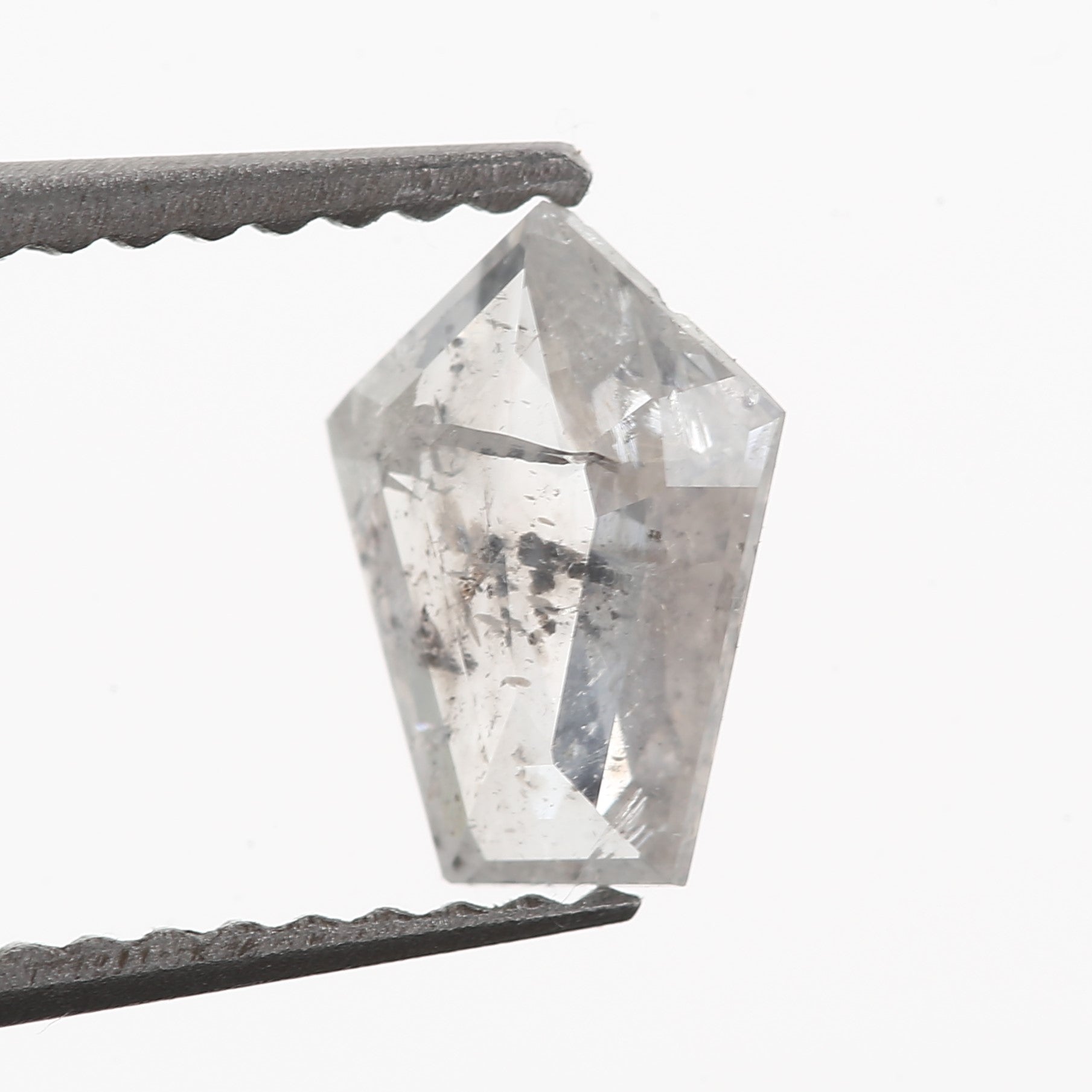 ClariOLED Transparent OLED Display price