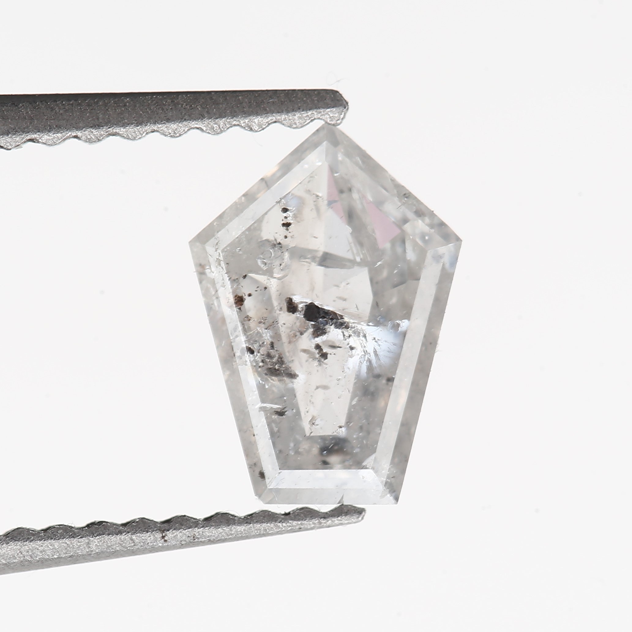 ClariOLED Transparent OLED Display price